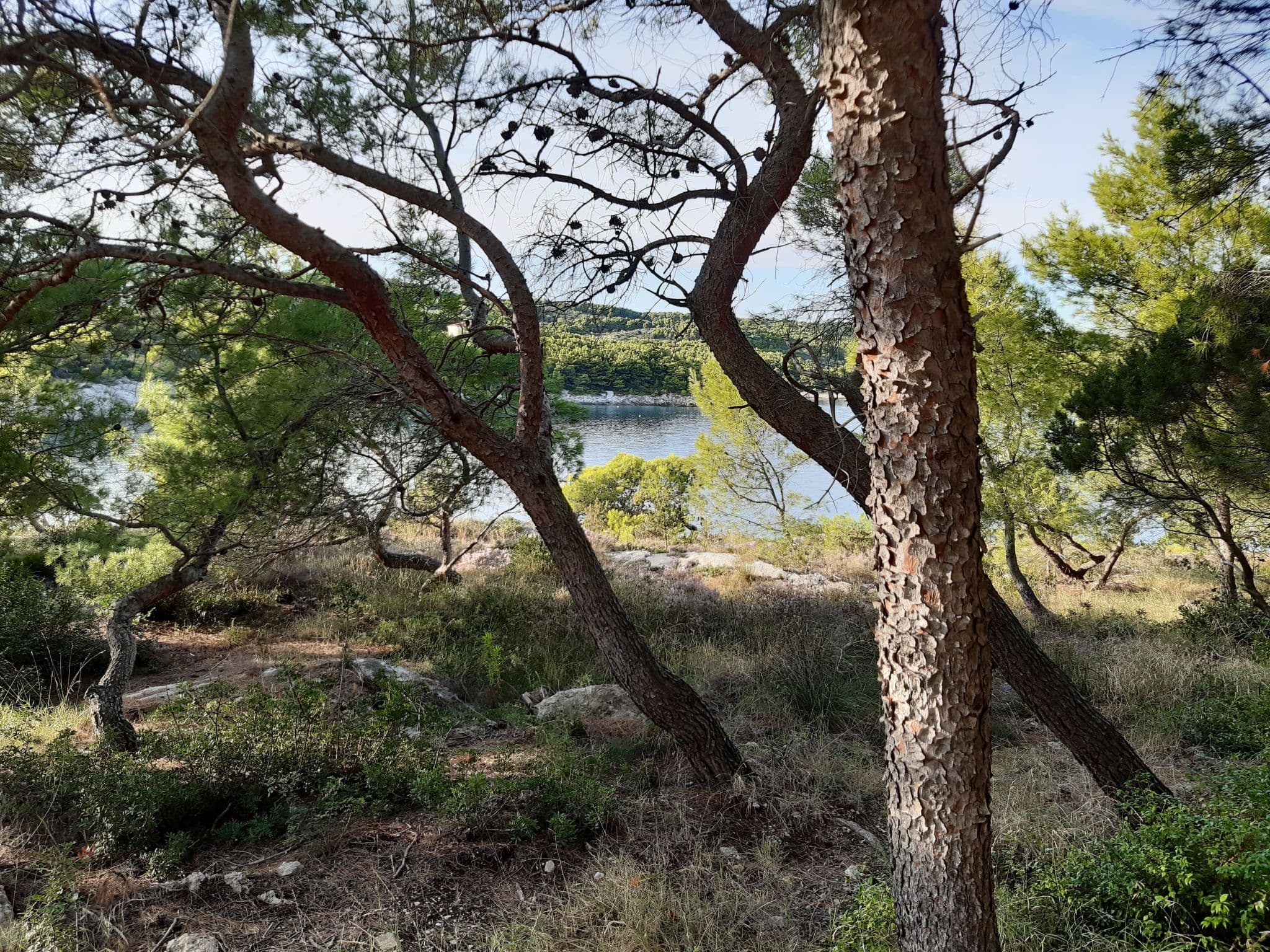 Gallery Image 64