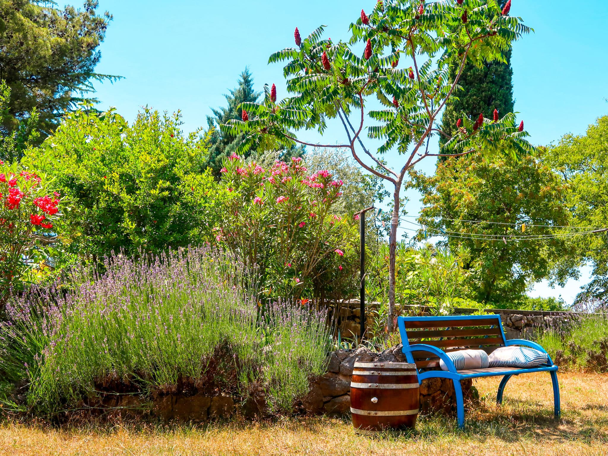 Outdoor