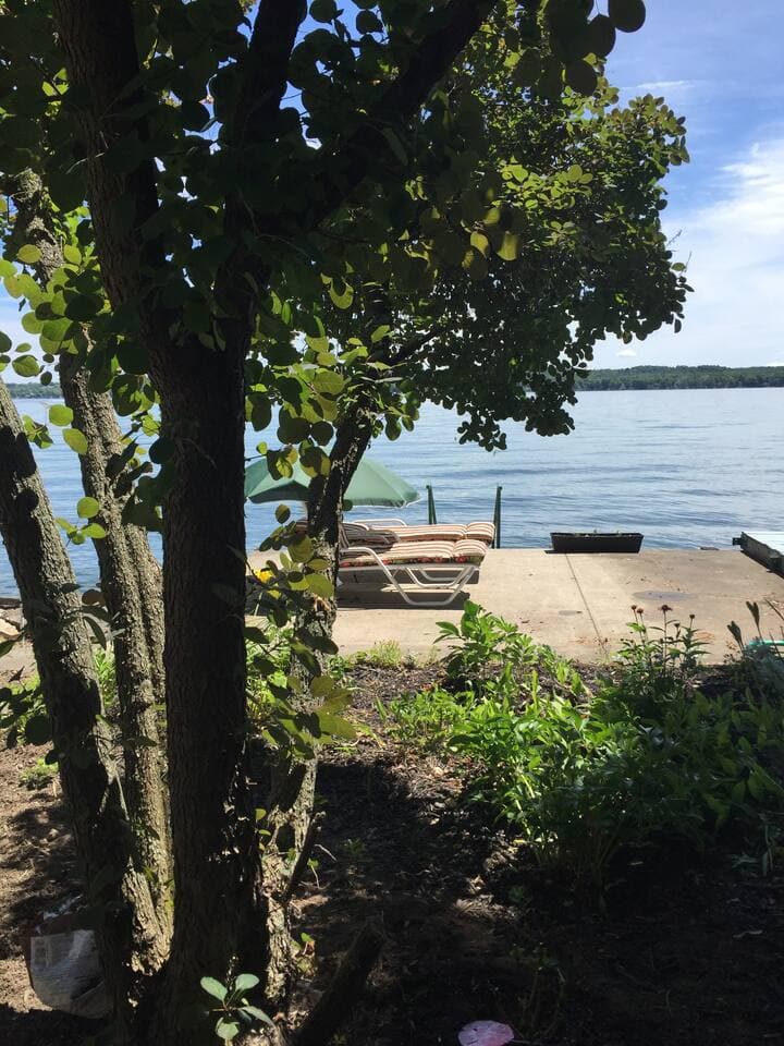 Part of our garden - lakefront side