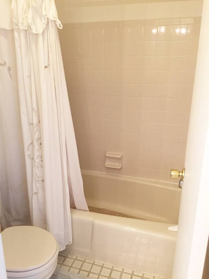 Master Bathroom shower tub and toilet