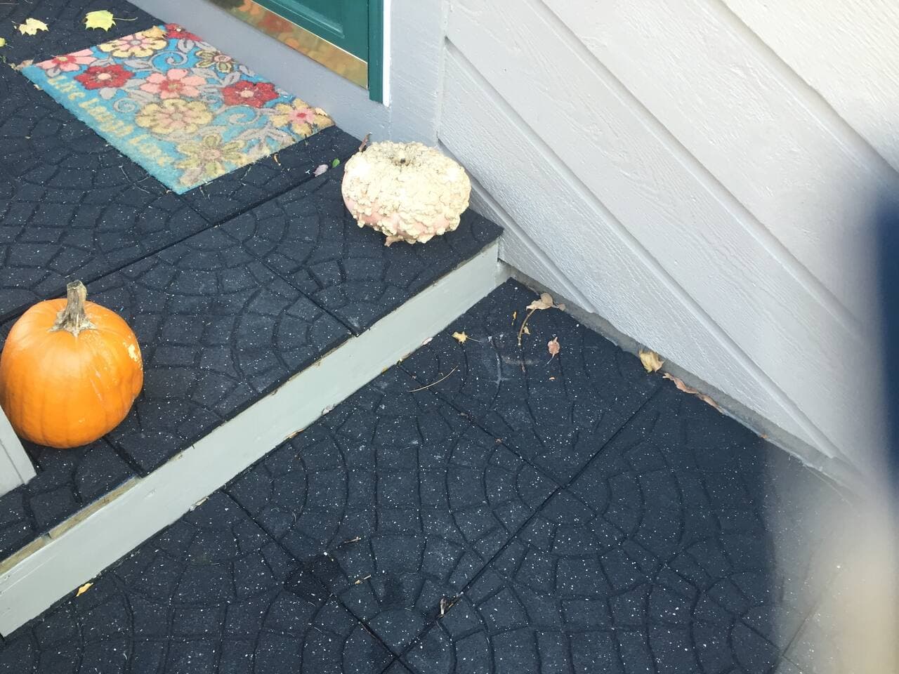 Harvest/Halloween decor sometimes.  
