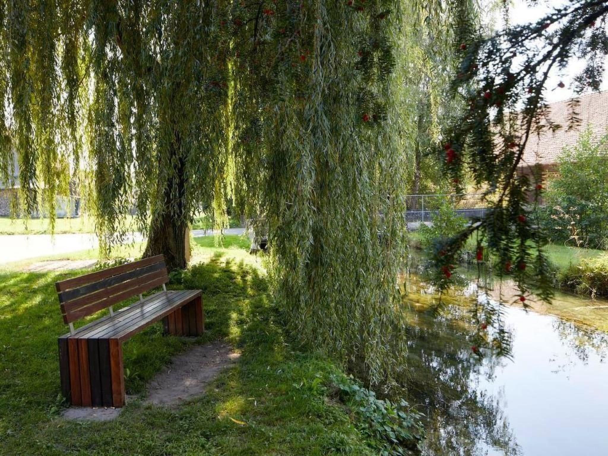 Gallery Image 22