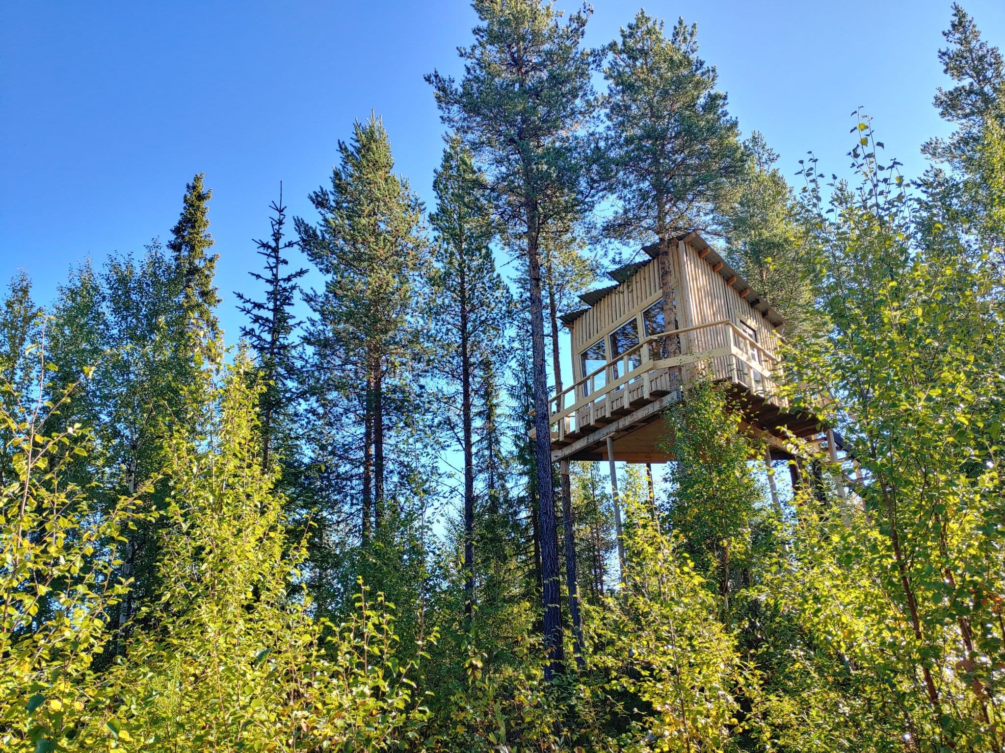 Gallery Image 8