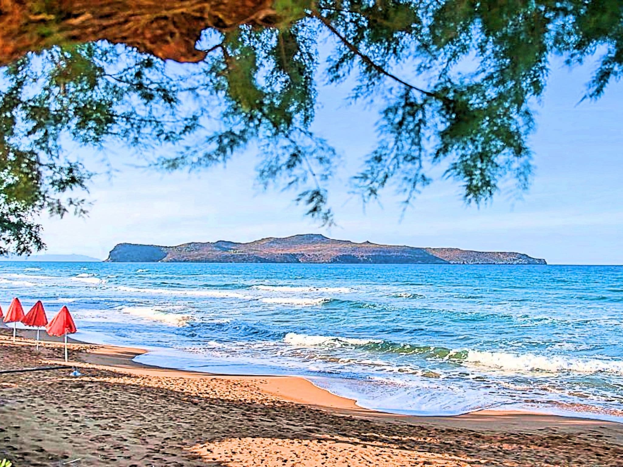 Gallery Image 22