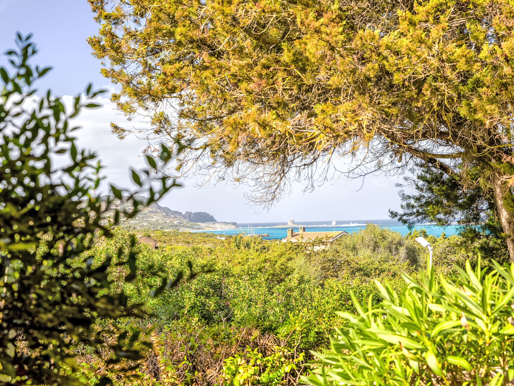 View