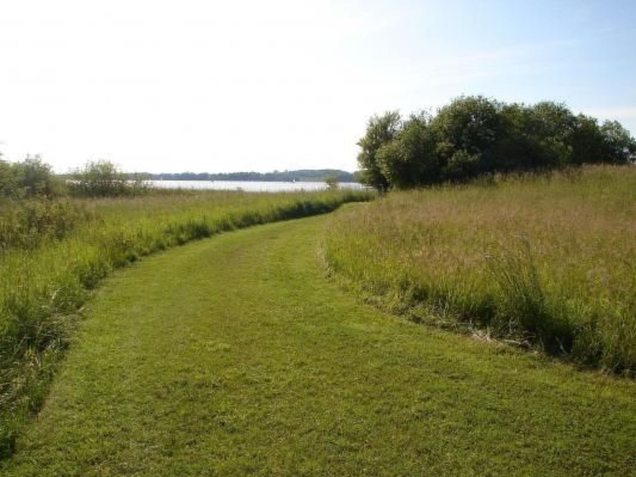 Gallery Image 30