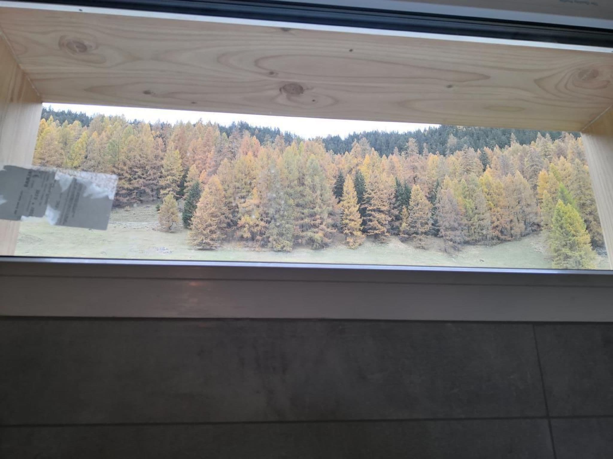 Gallery Image 15