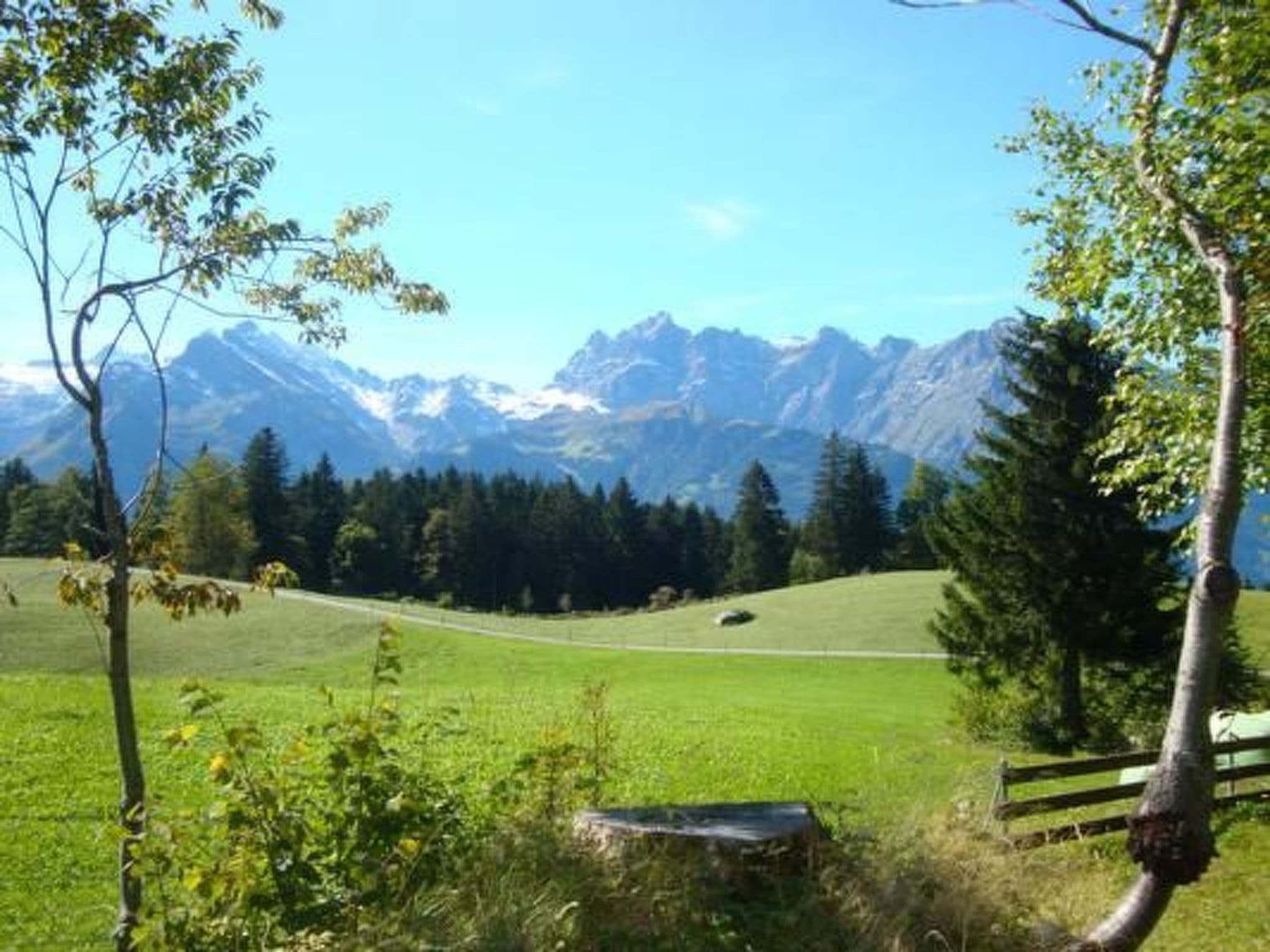 View