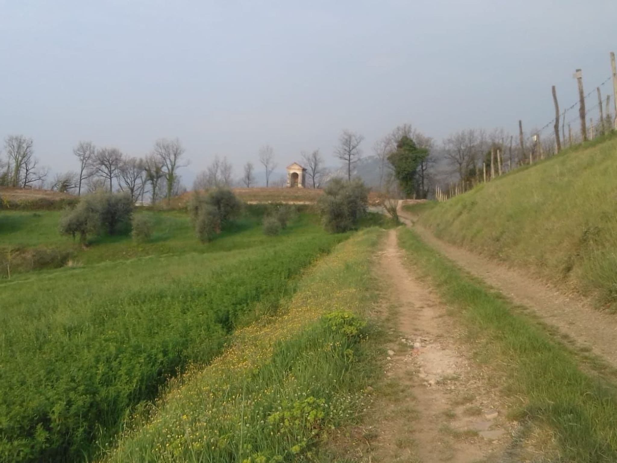 View