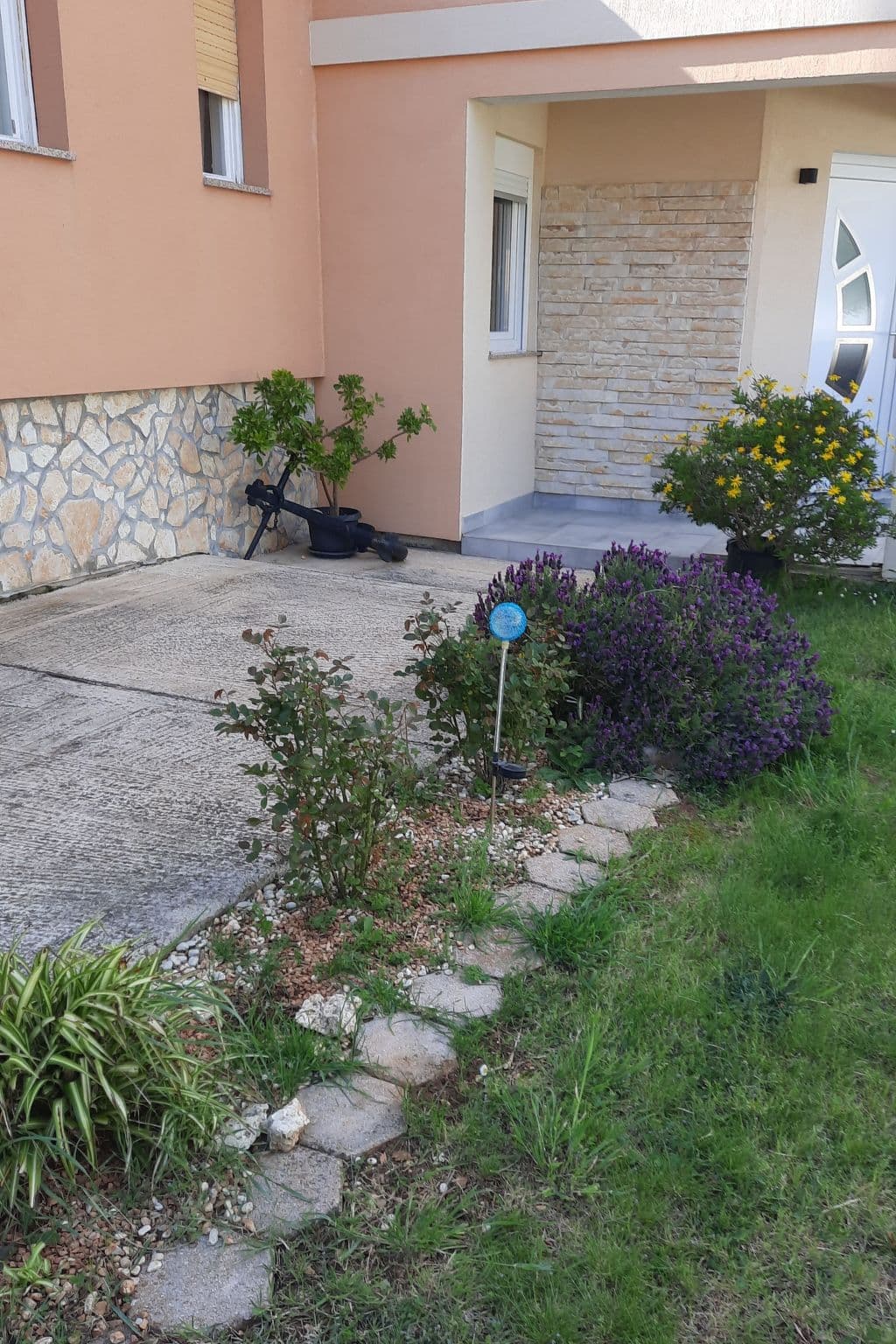 Gallery Image 27
