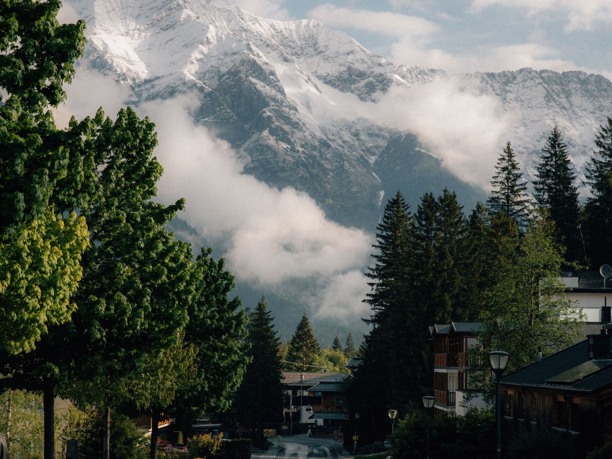View