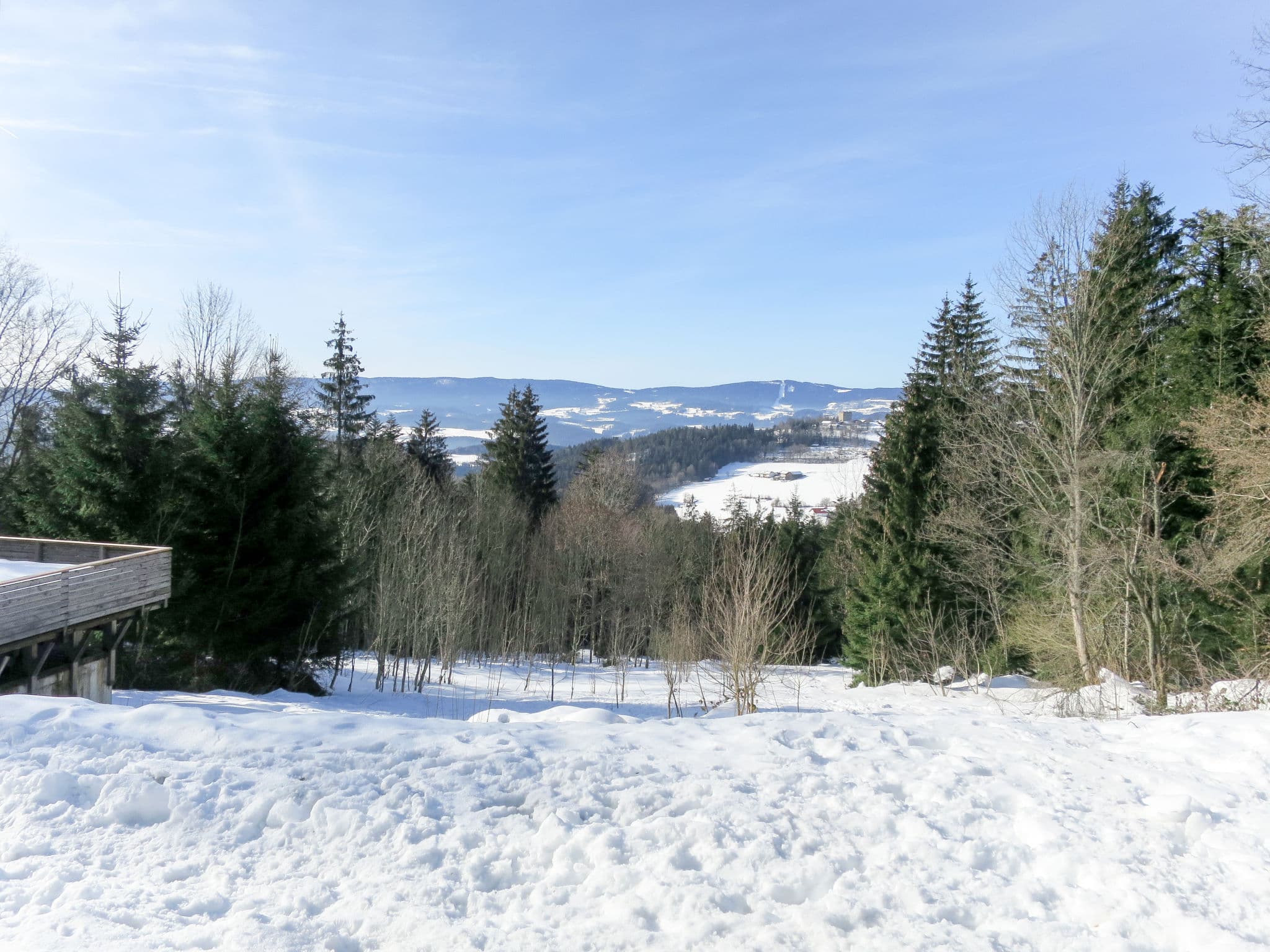 View