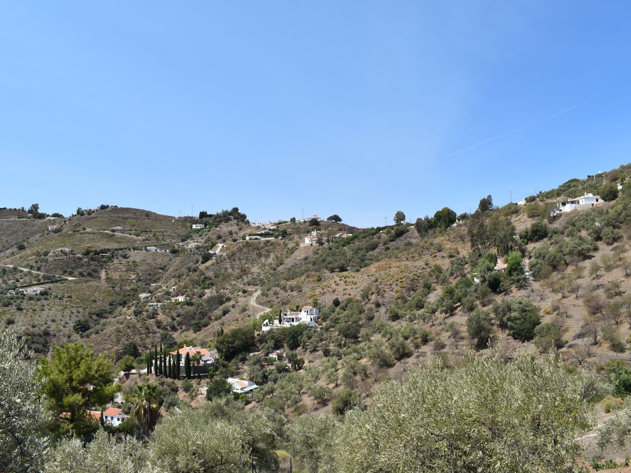Gallery Image 18