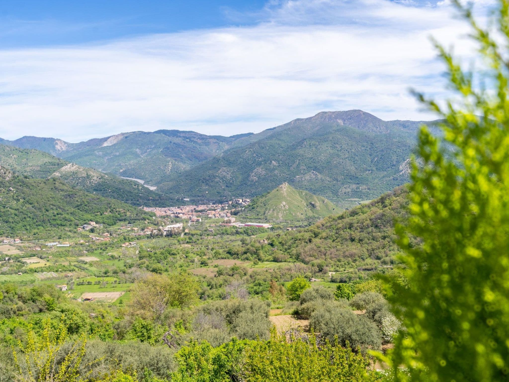 View