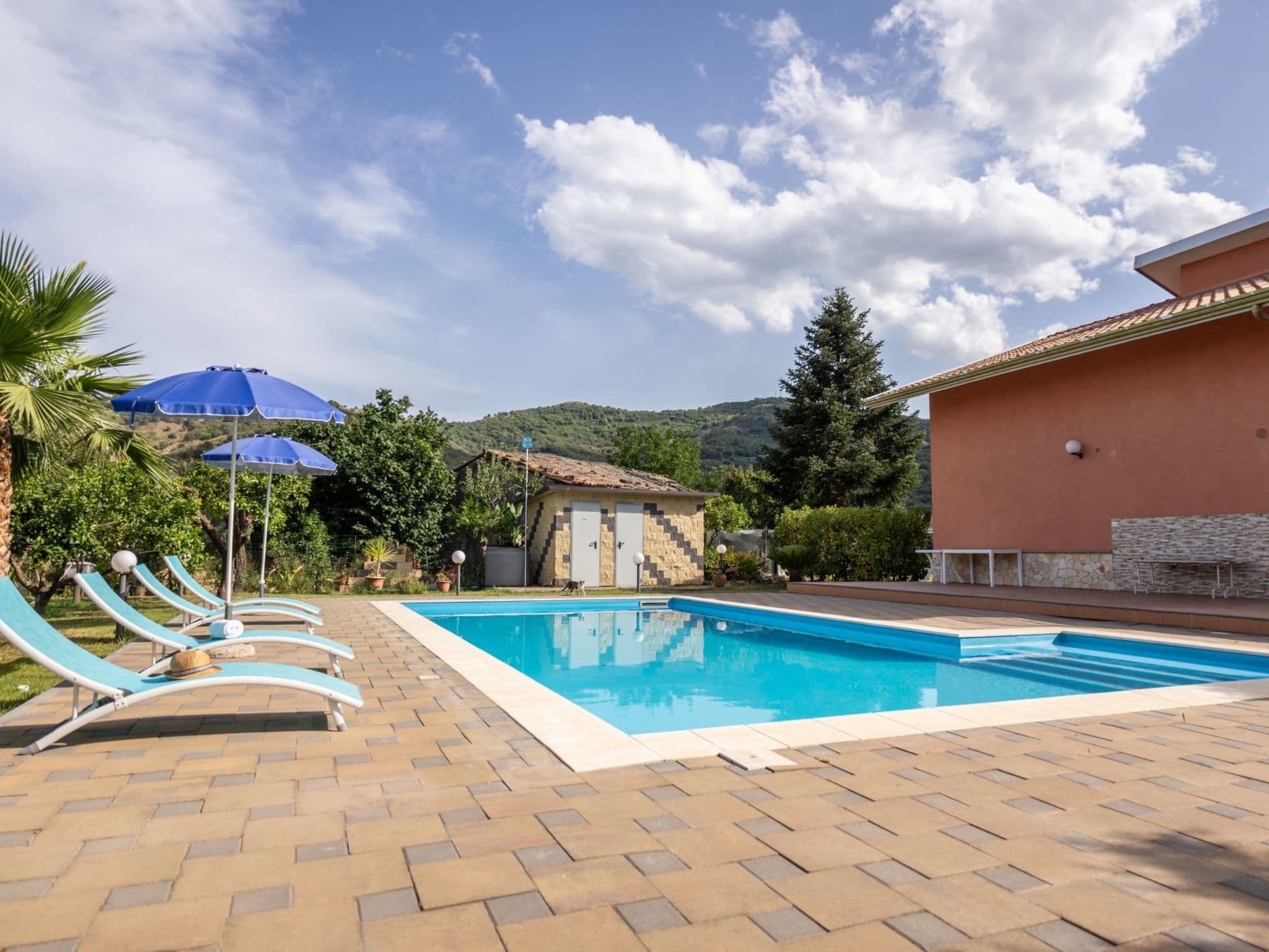Gallery Image 36