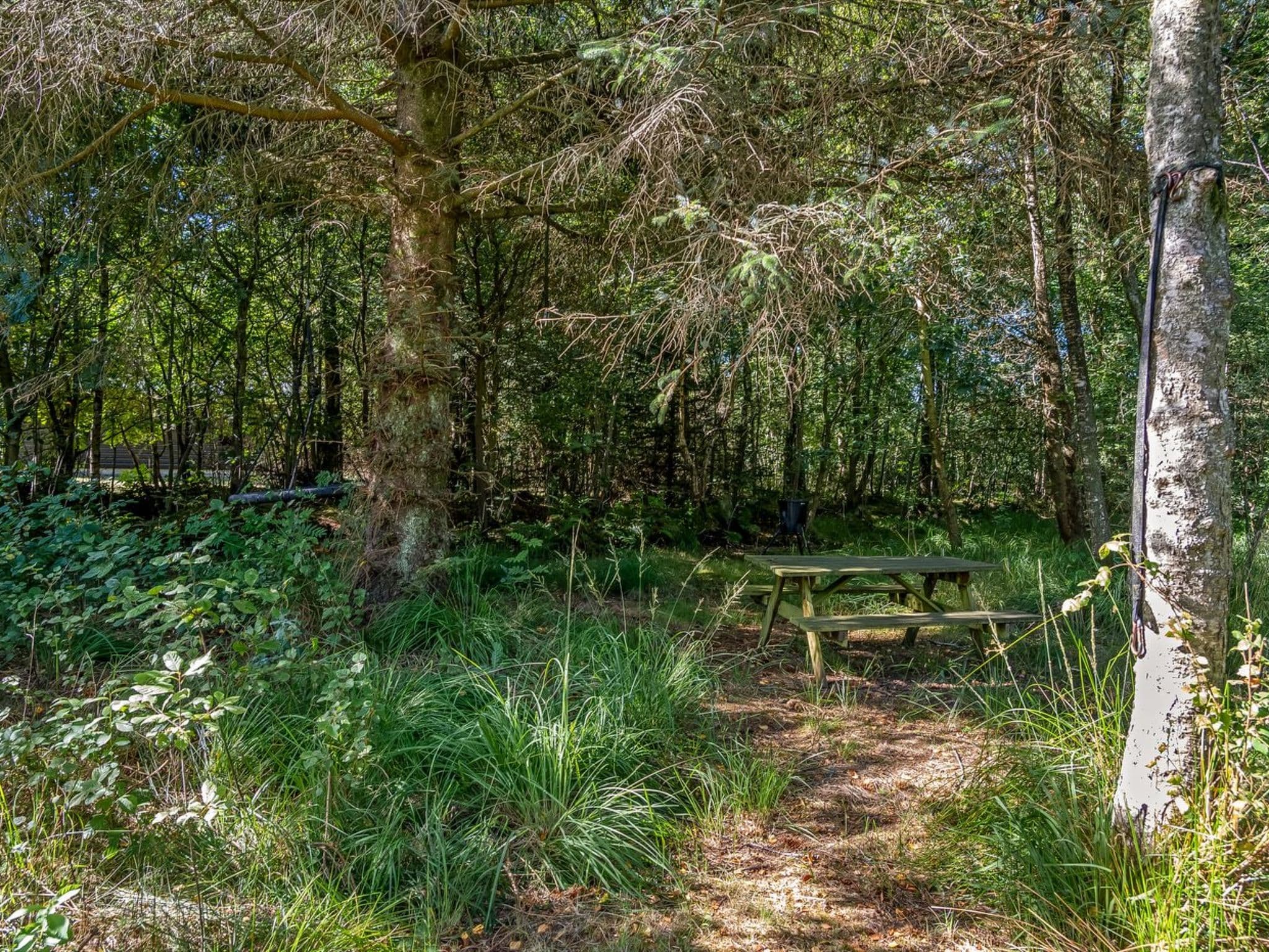 Place