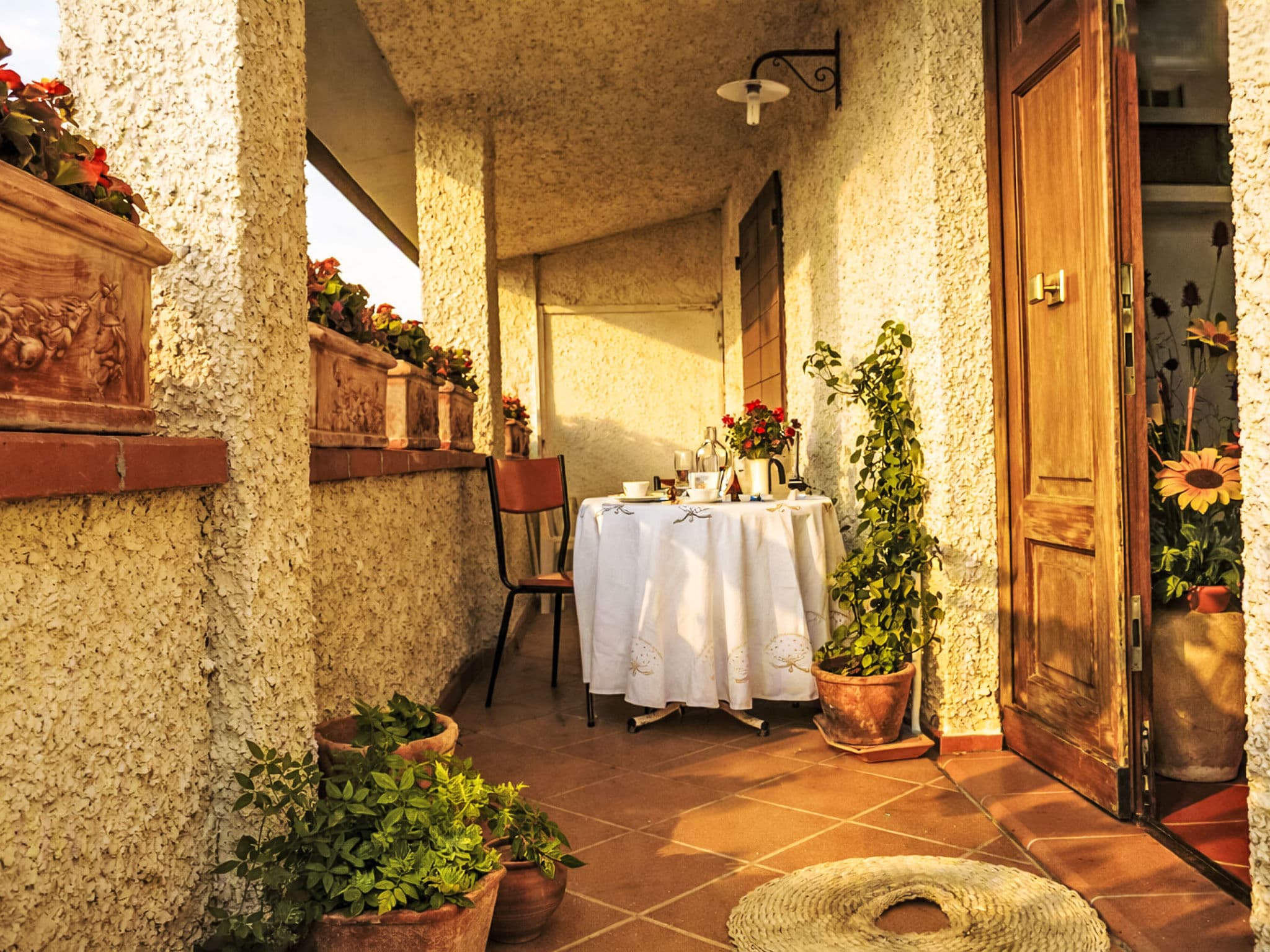 Terrace