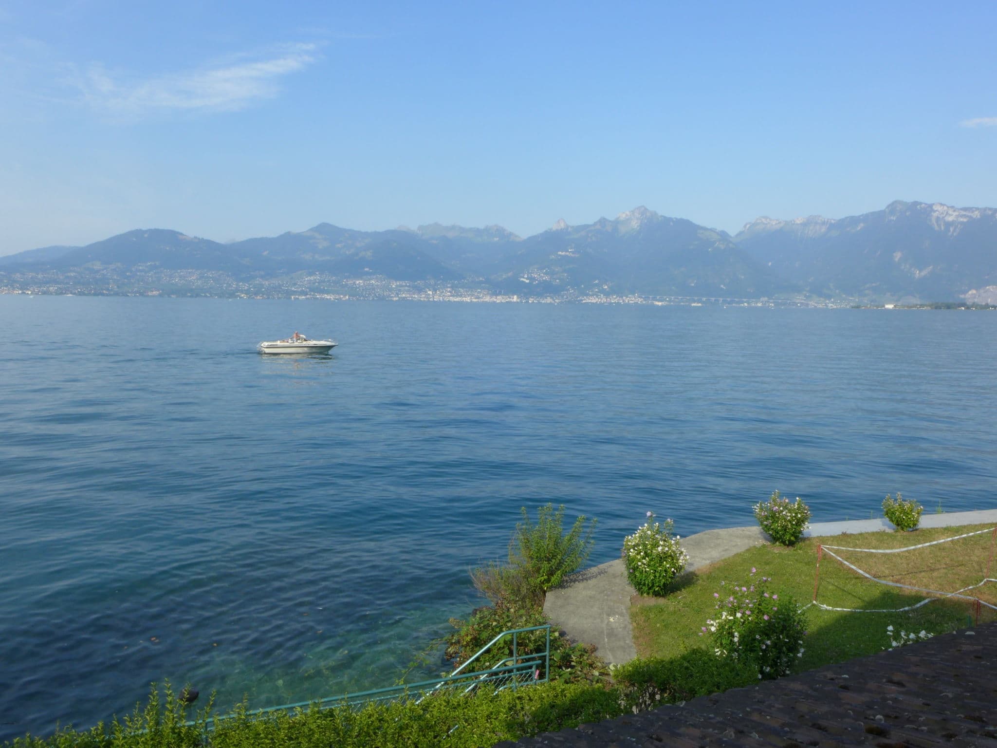 View