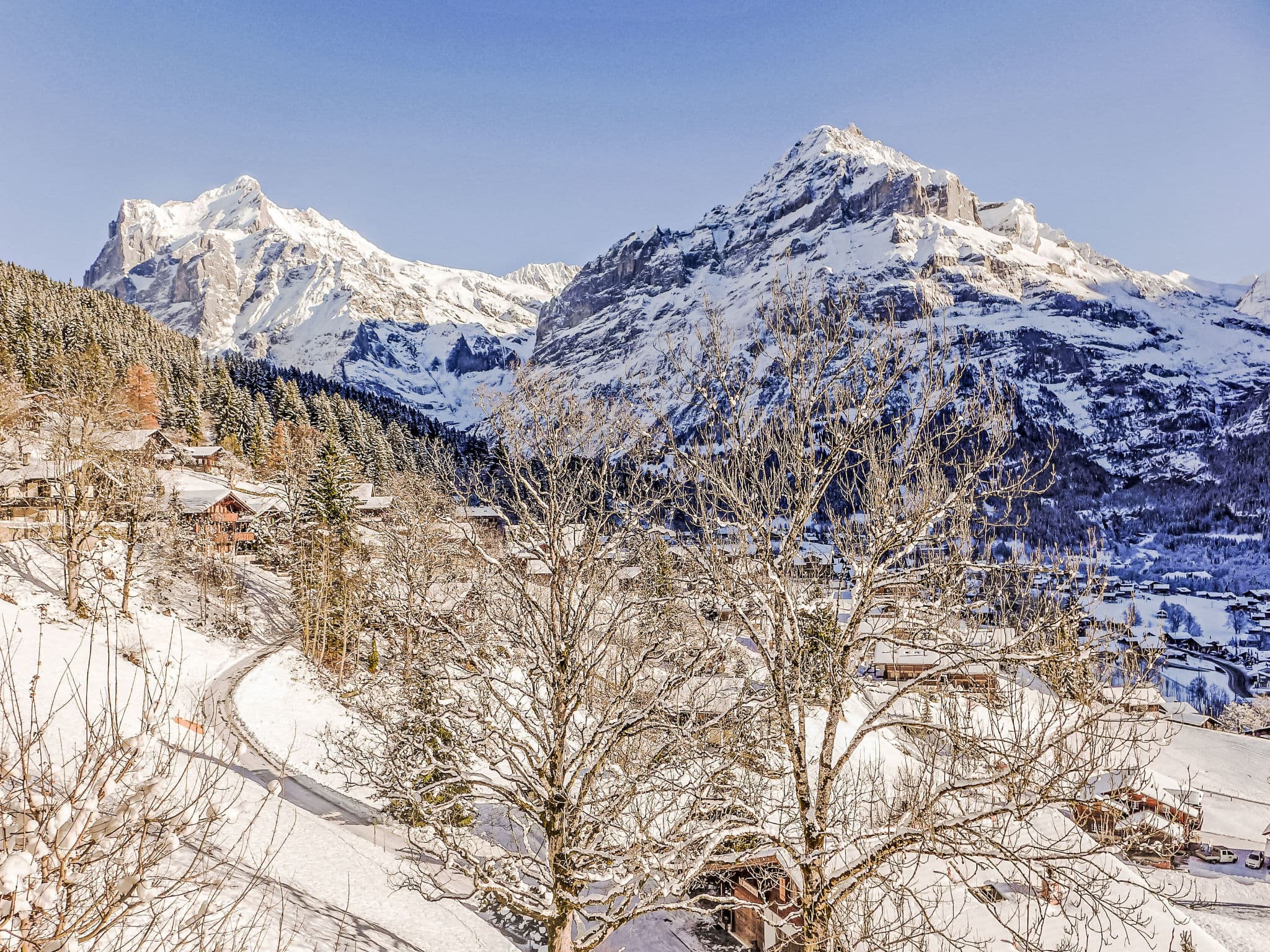 View