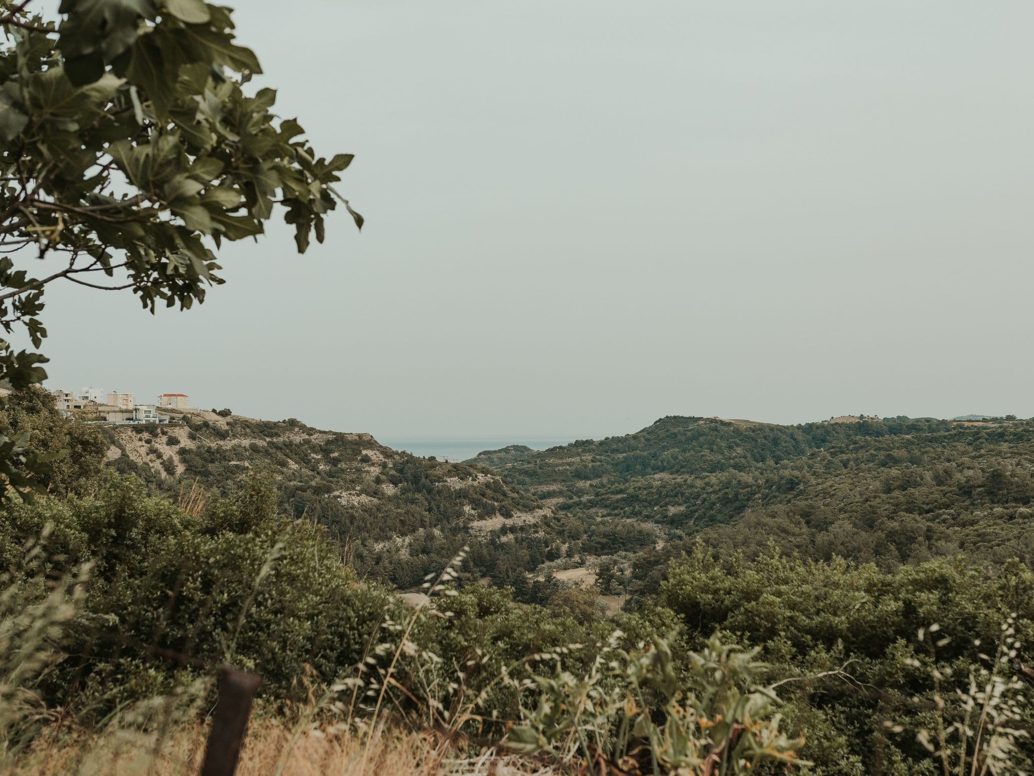 View