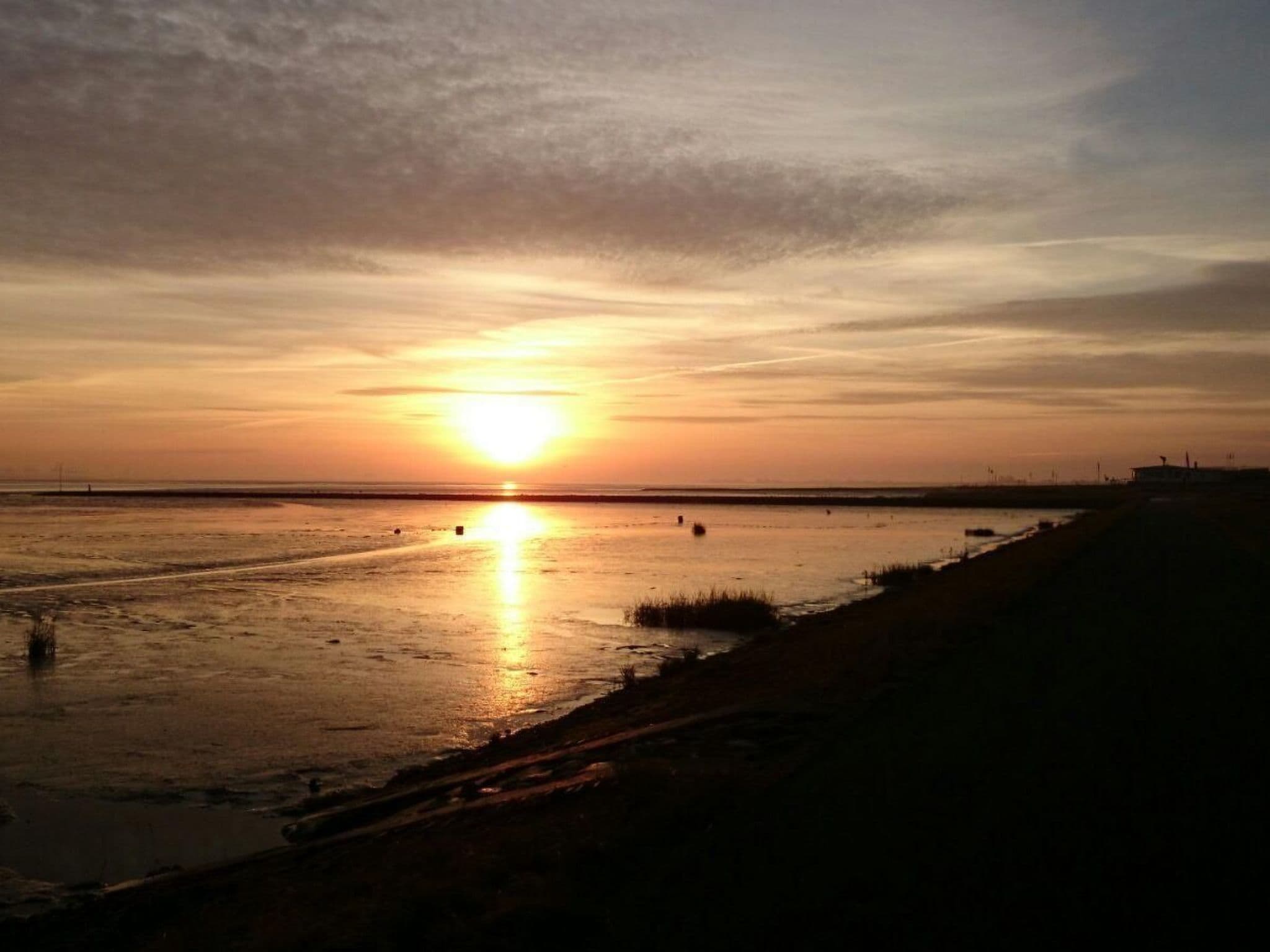 Gallery Image 39