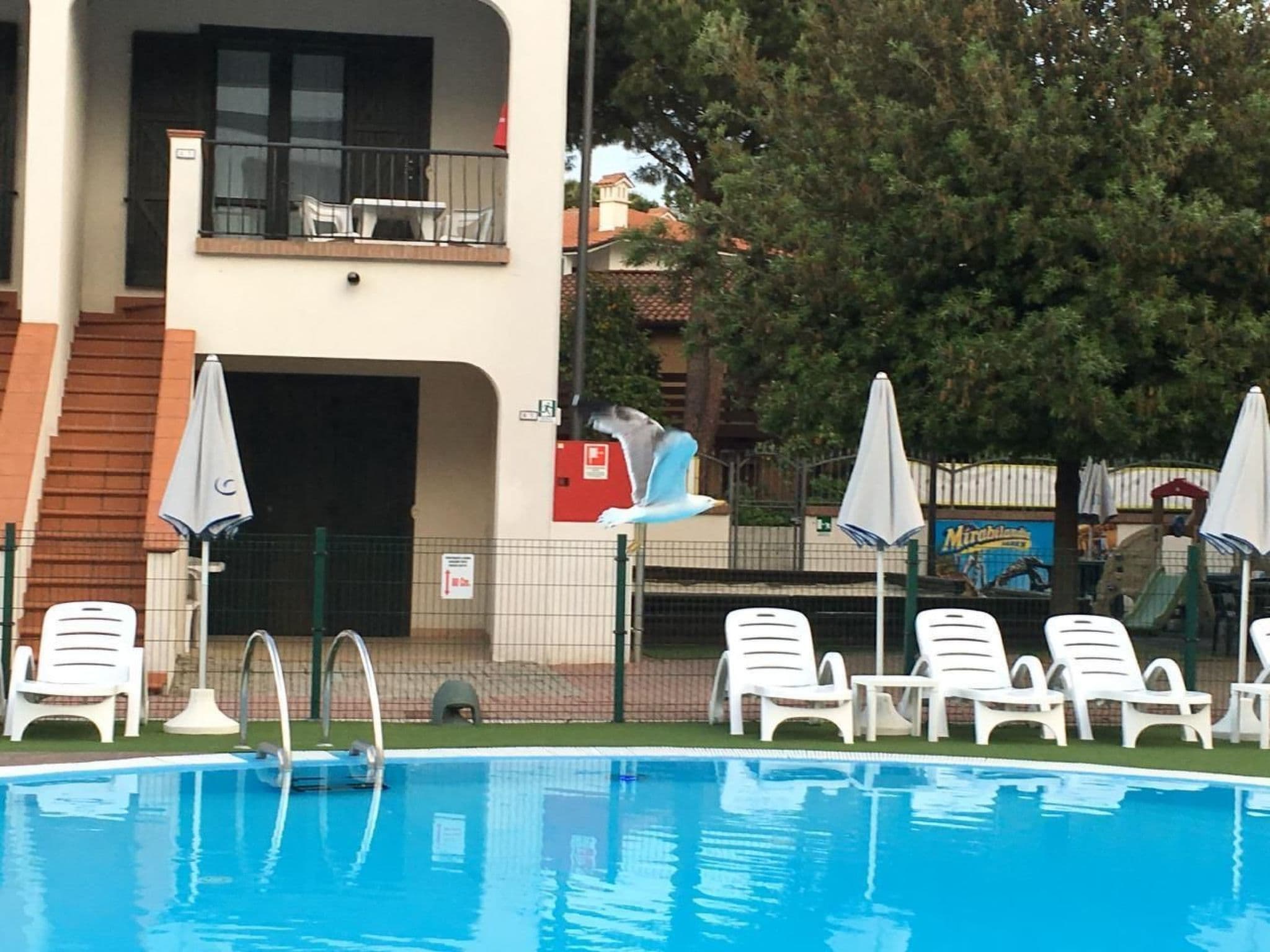 Pool Outdoor