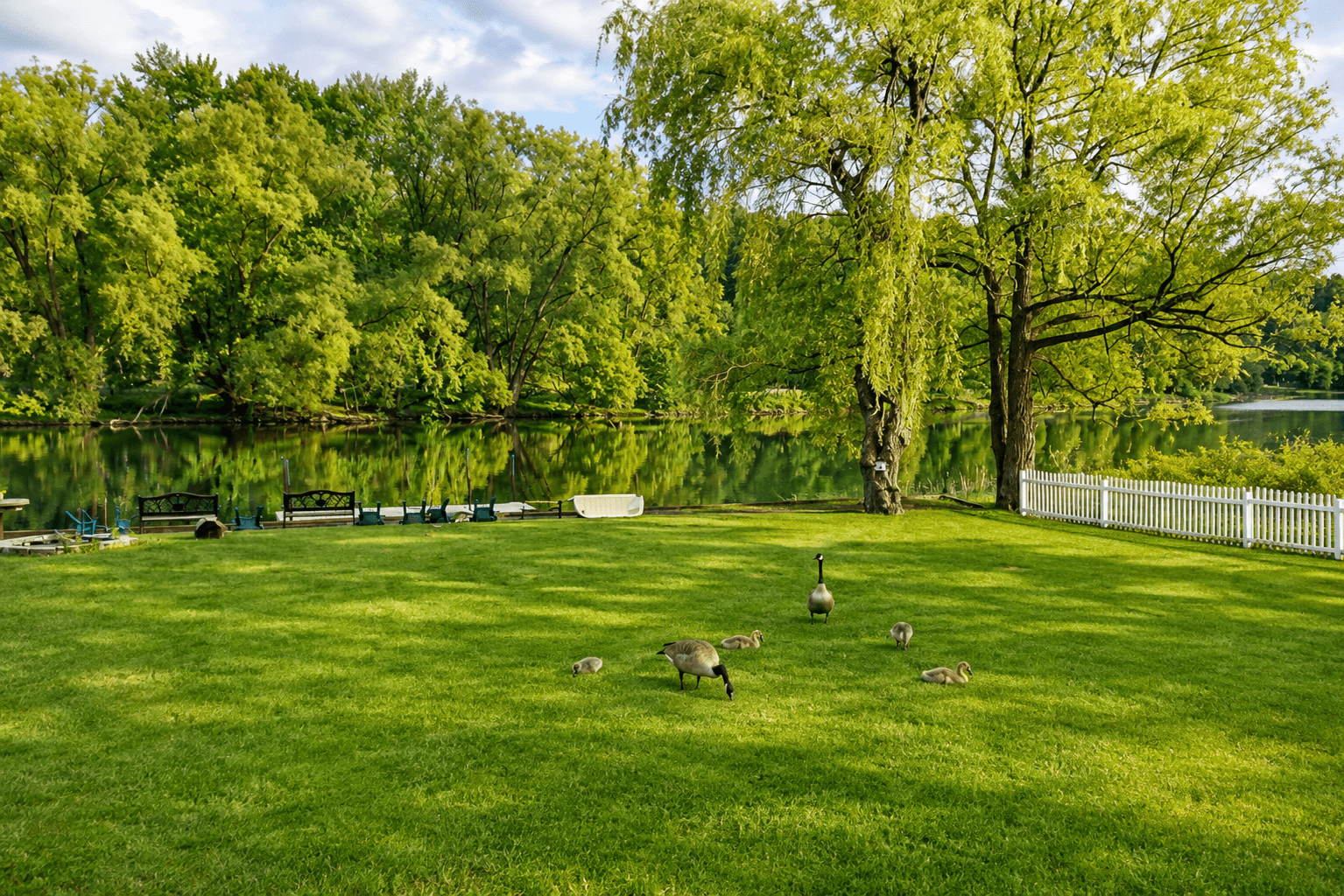 Wildlife abounds, including these darling baby geese - the property's namesakes!