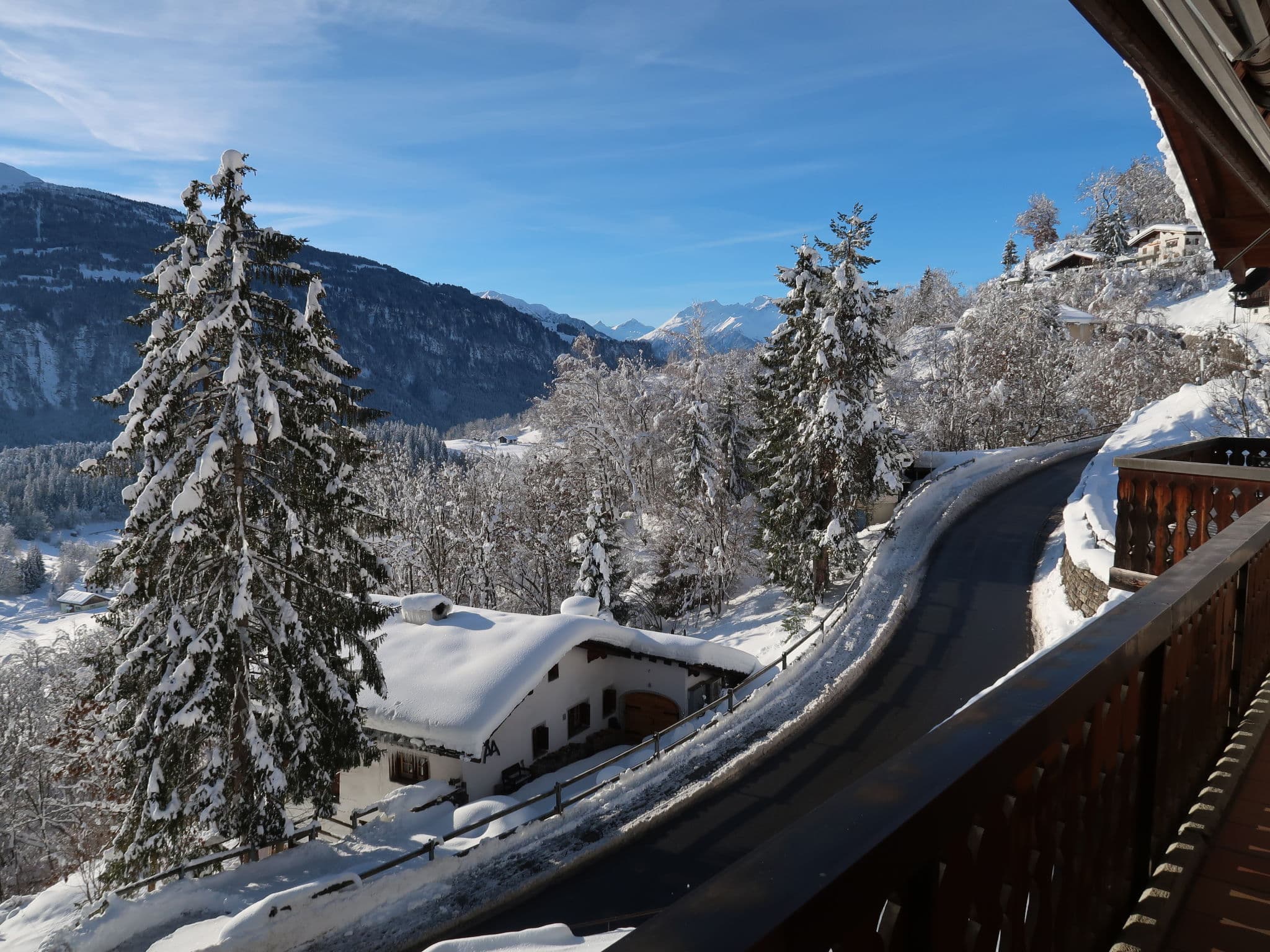 View