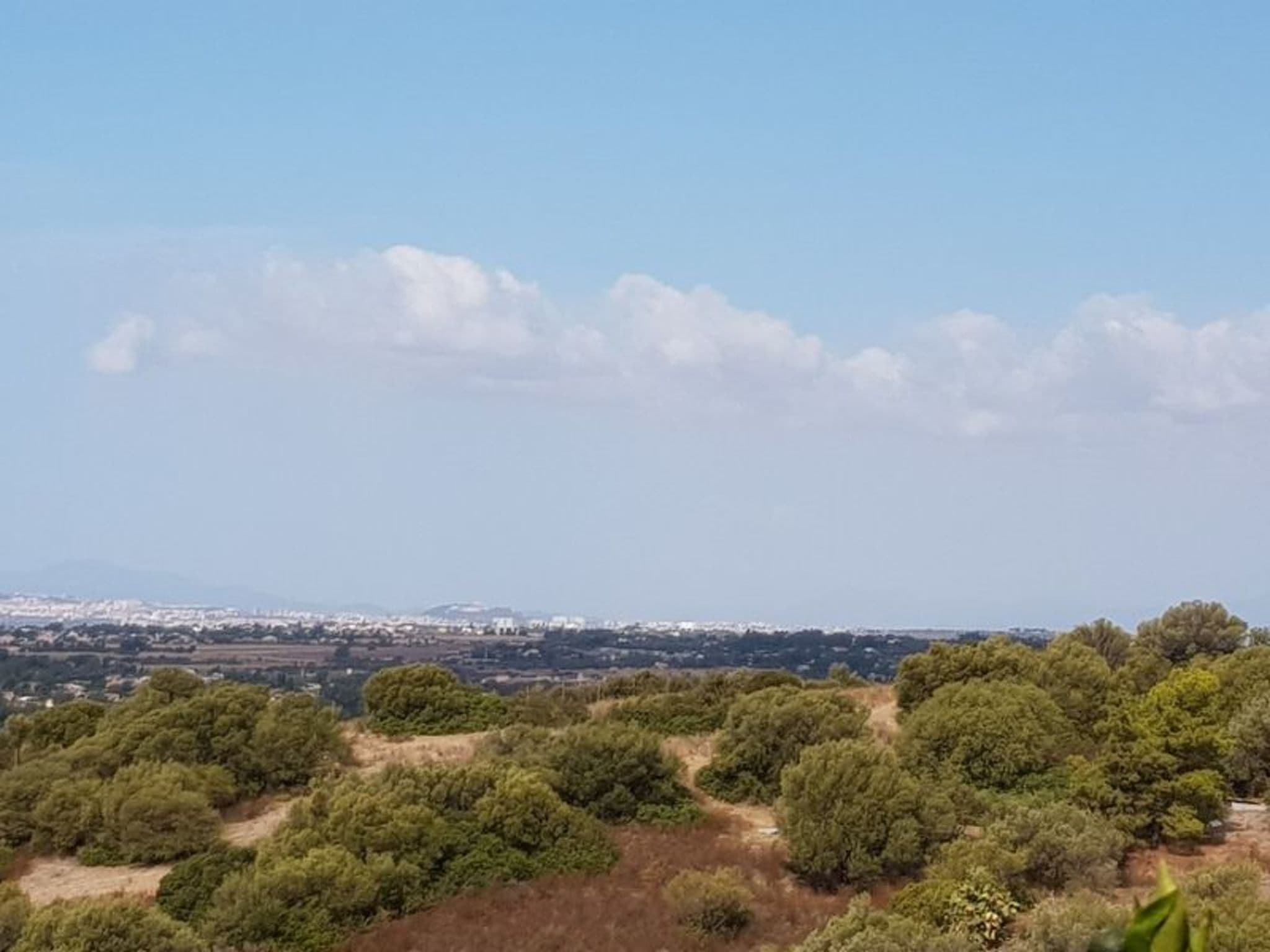Gallery Image 15