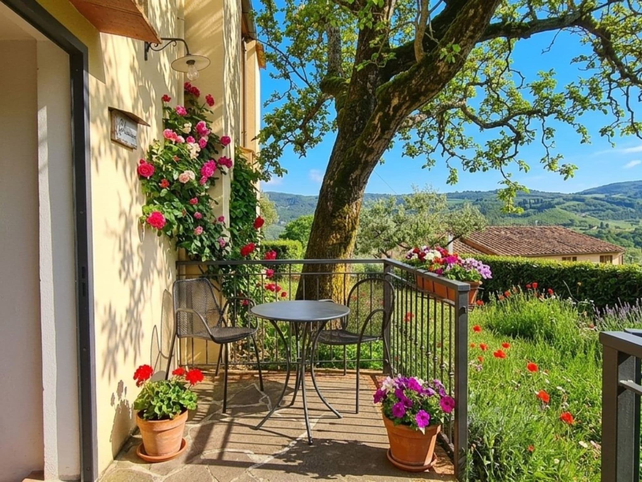 Terrace