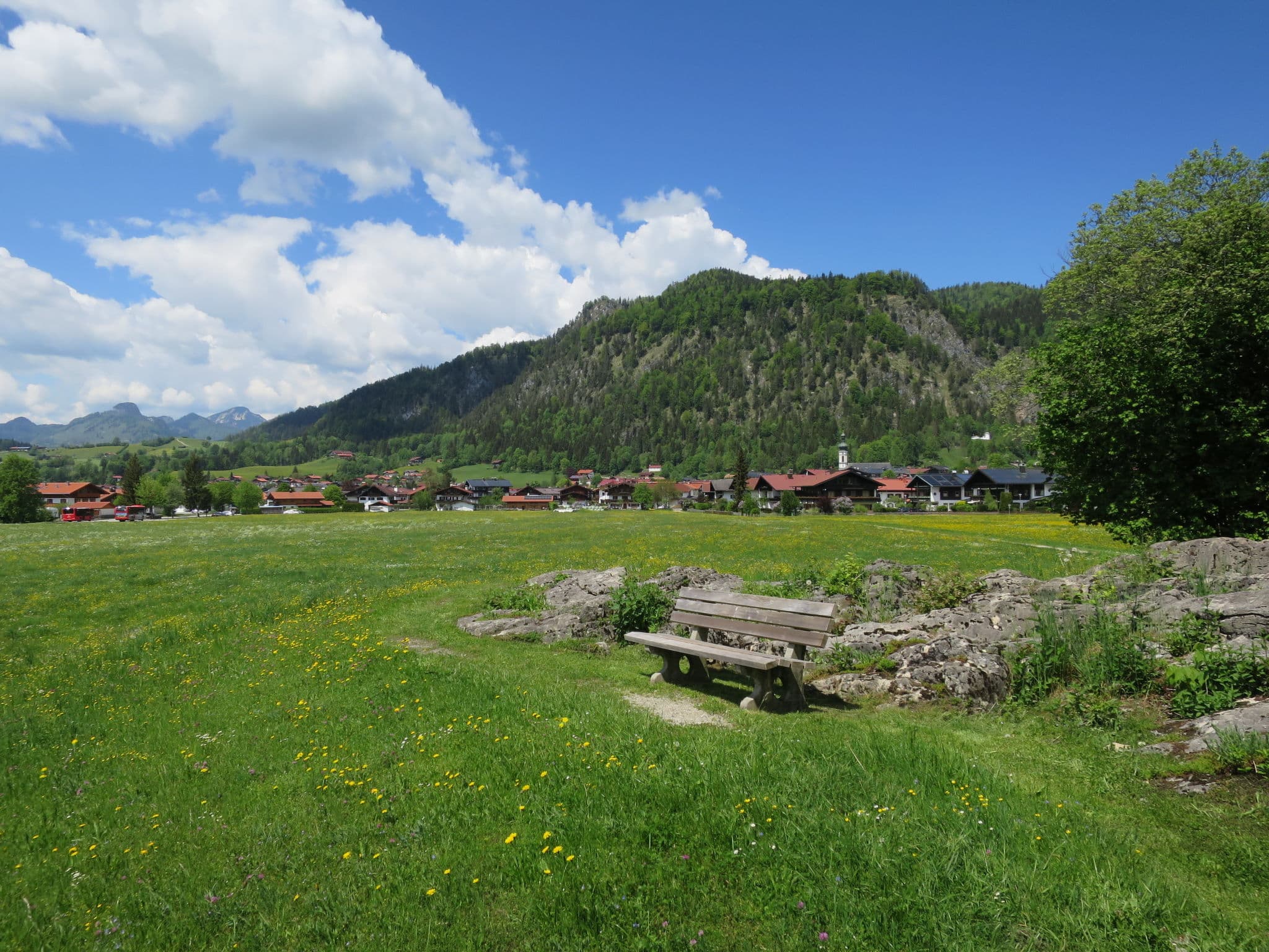View