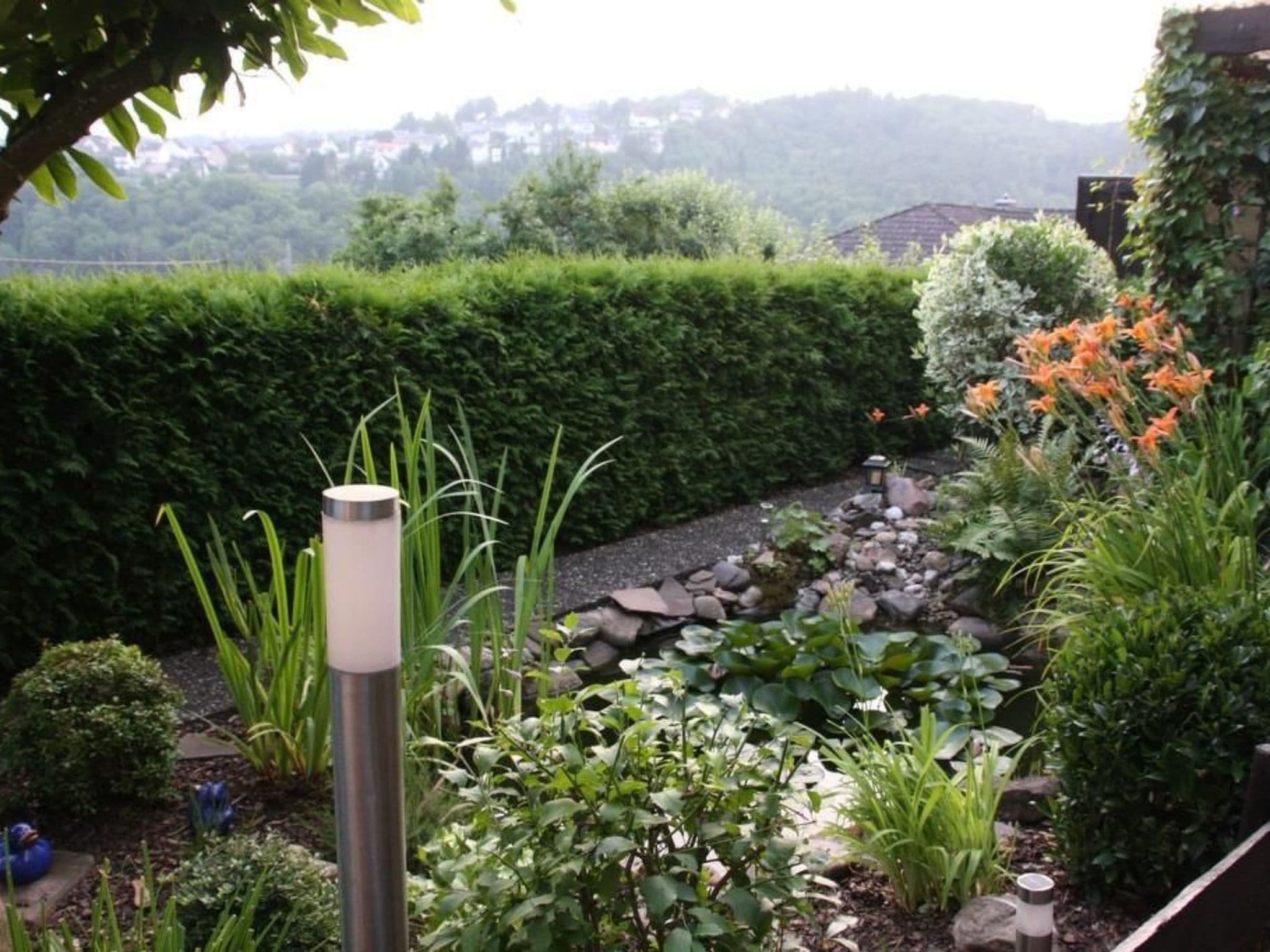 Gallery Image 20