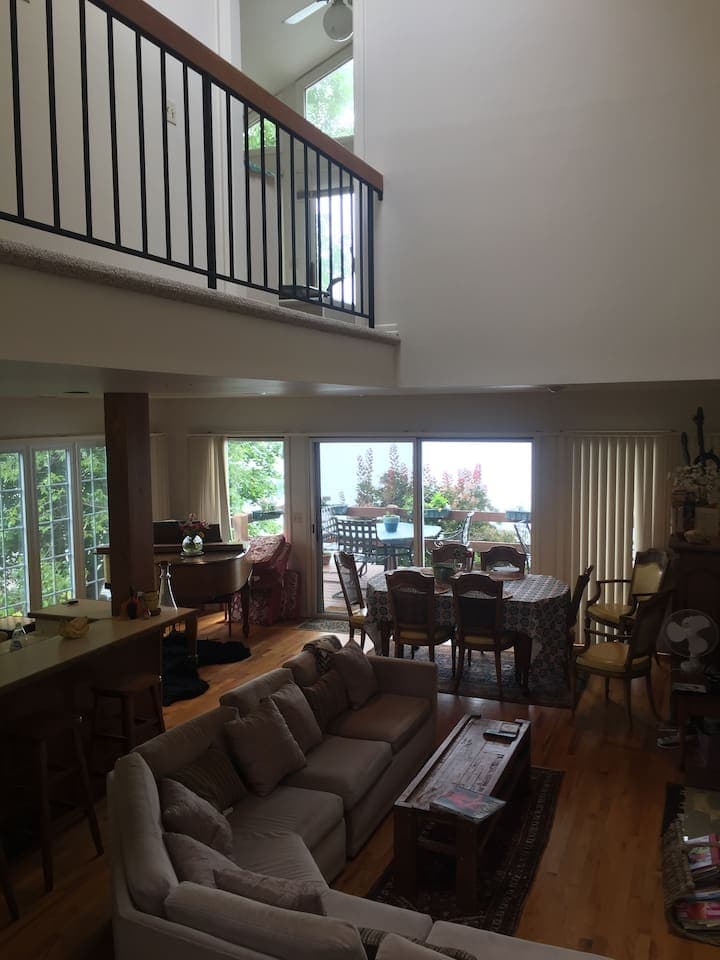 Skylight cathedral ceiling living room w plenty of natural light 