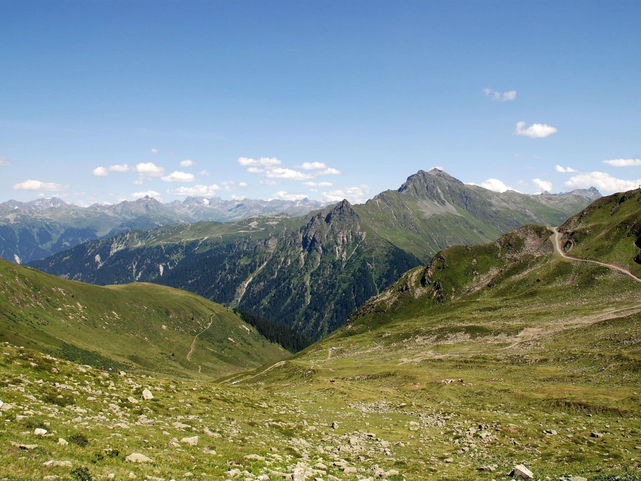 View