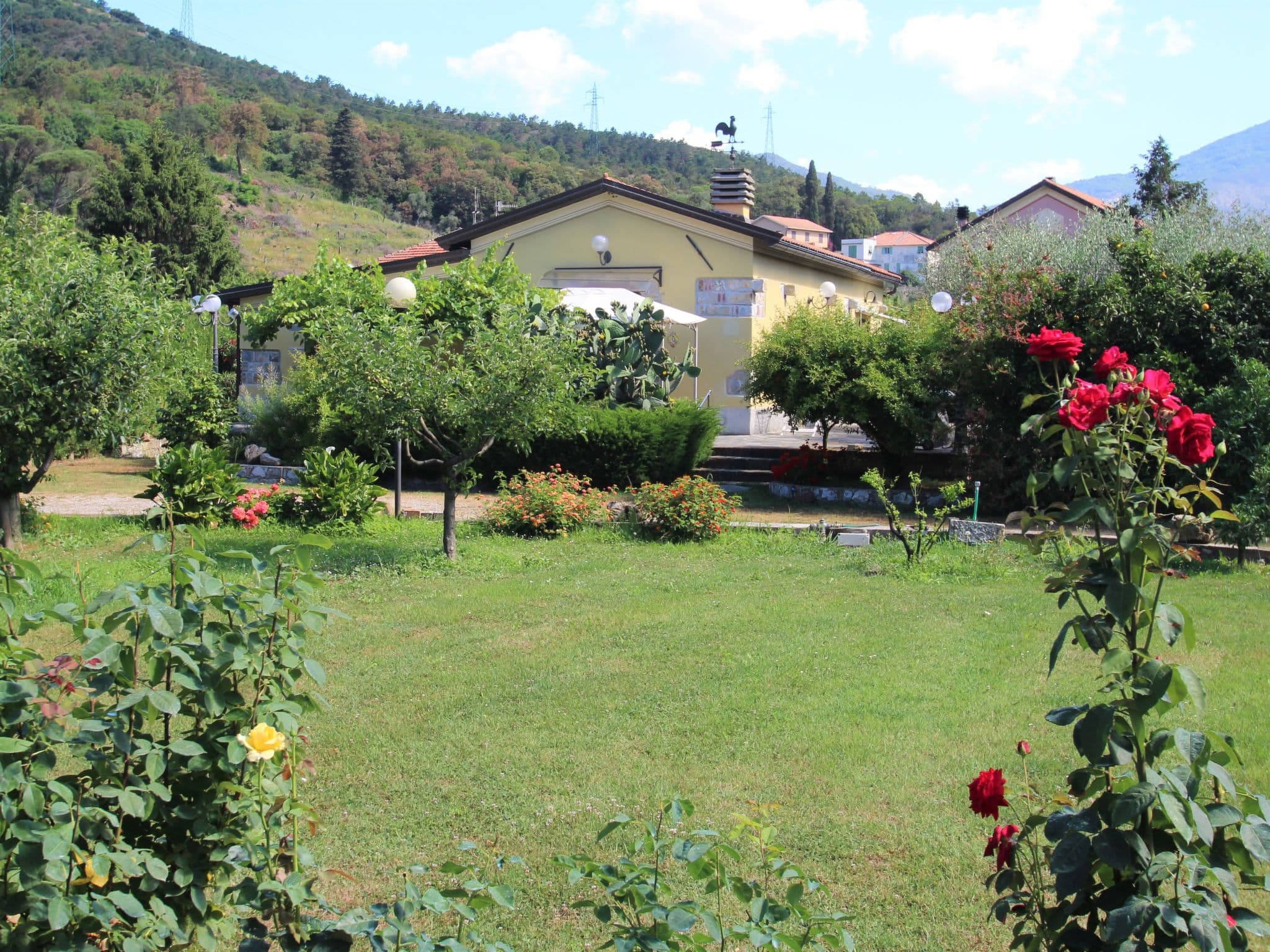 Outdoor