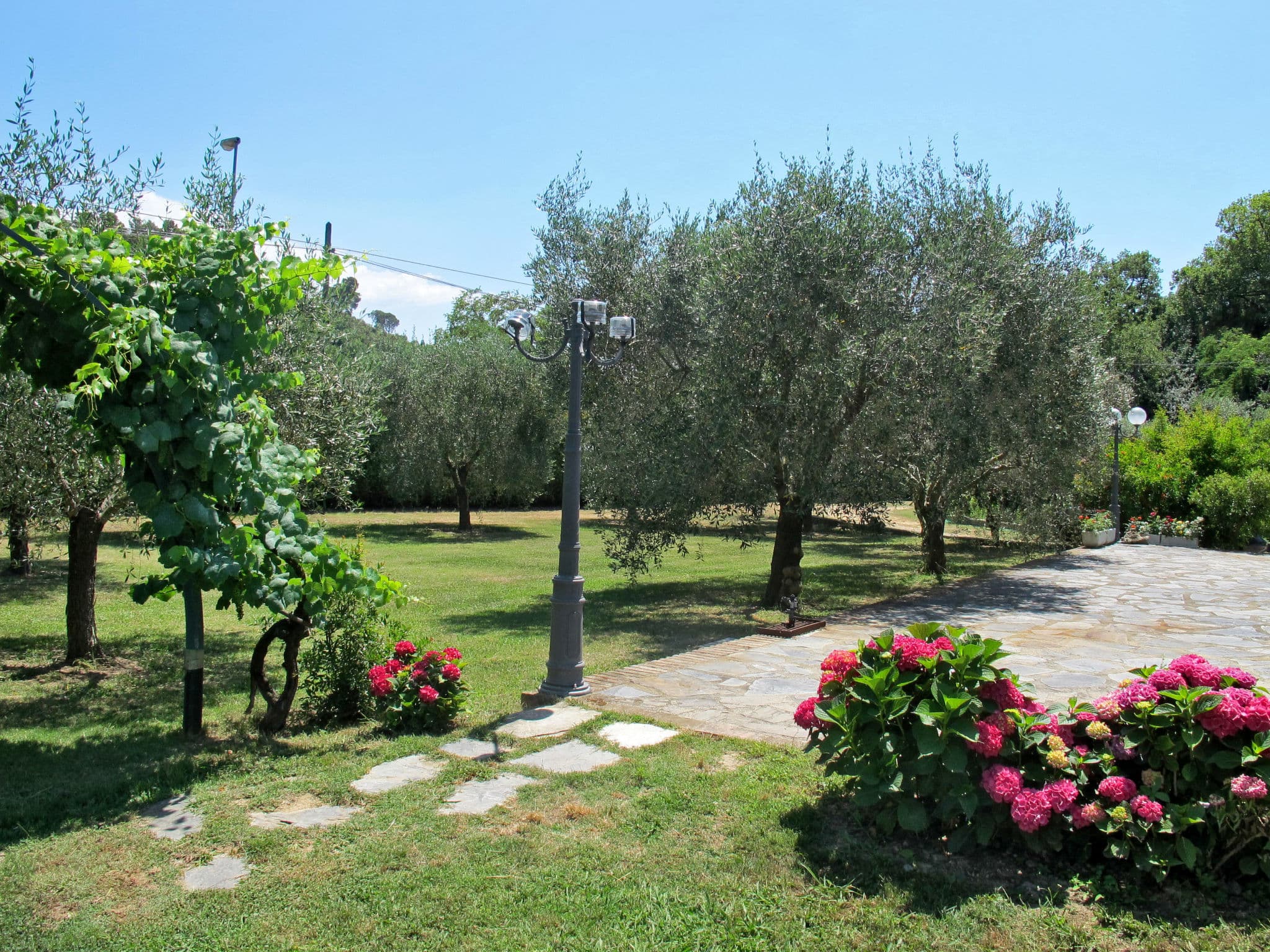 Outdoor