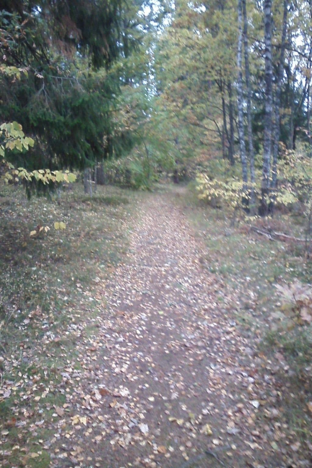Gallery Image 29