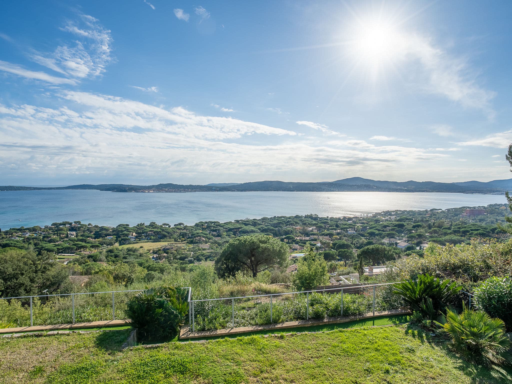 View