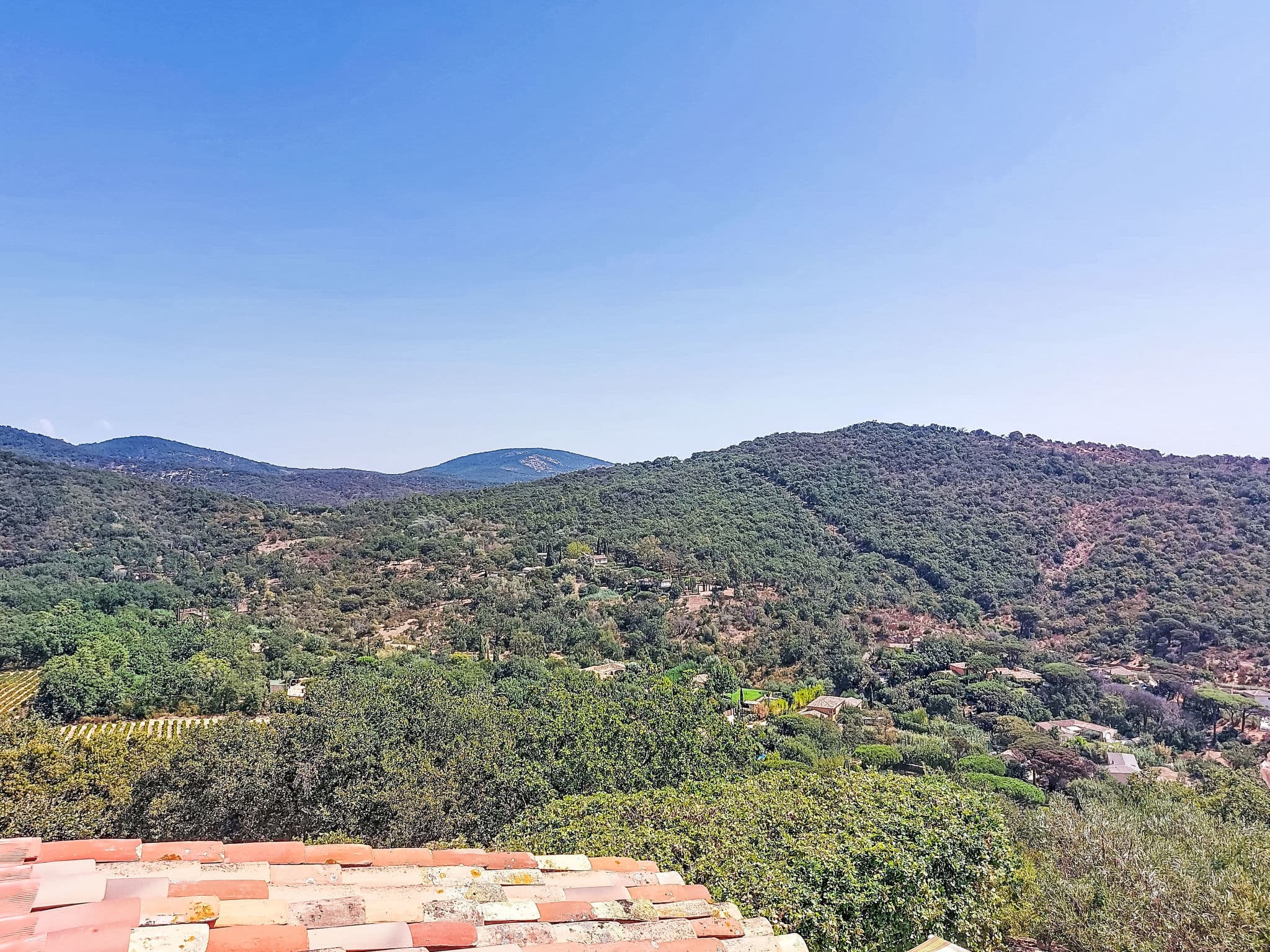 View