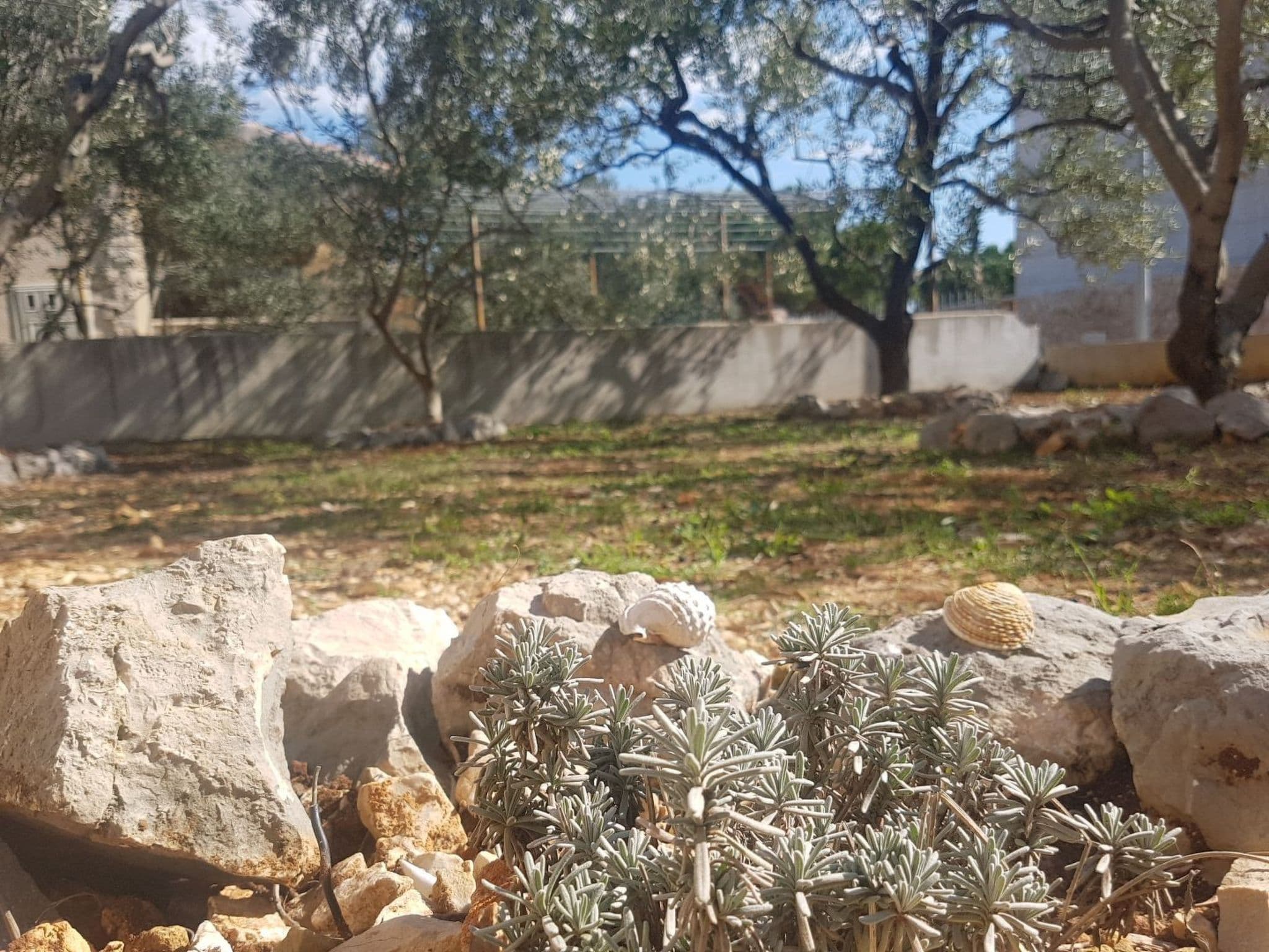 Gallery Image 12
