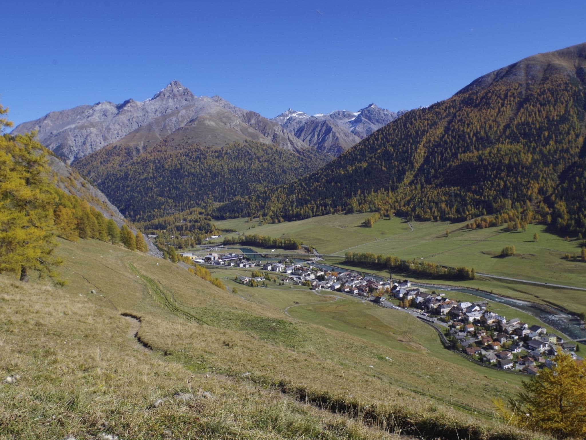 View