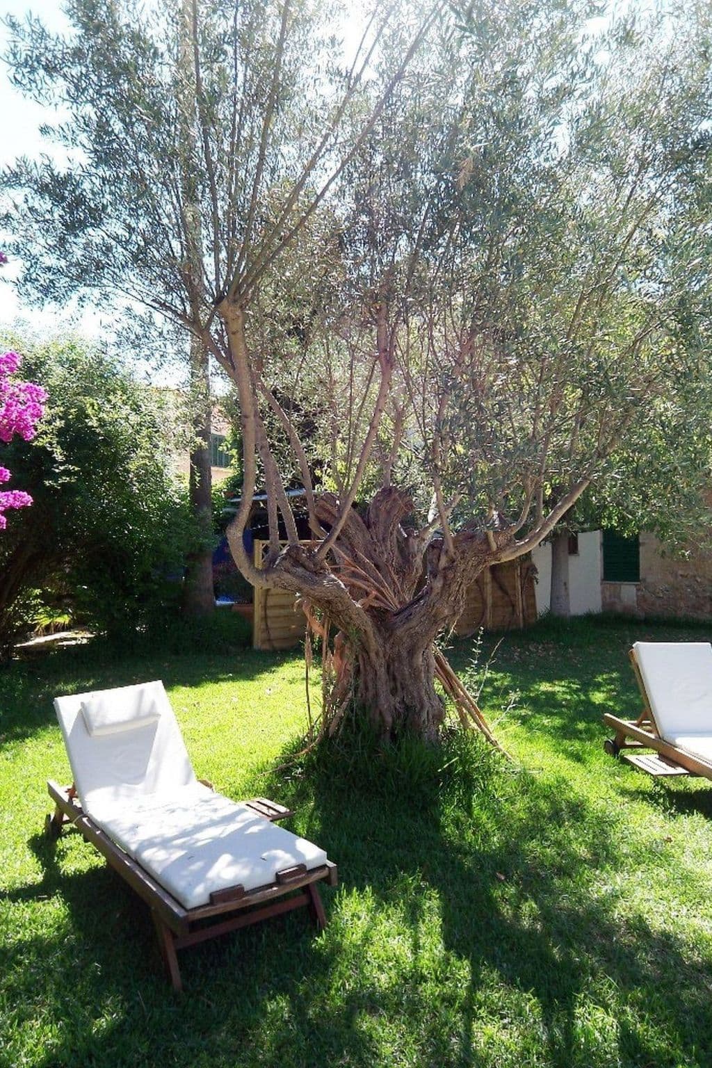 Gallery Image 33