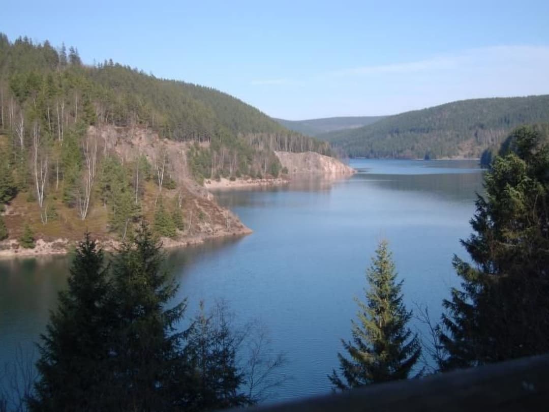 Large Image