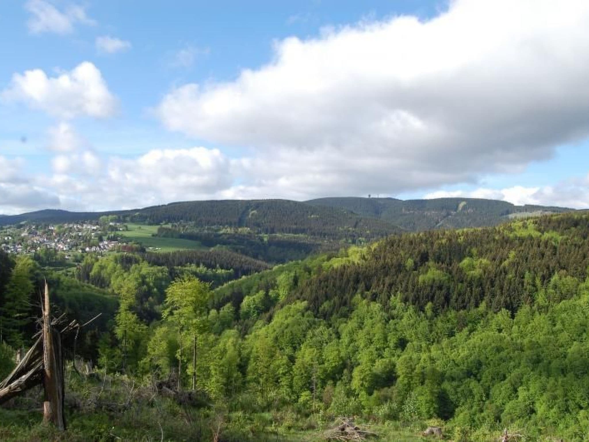 View