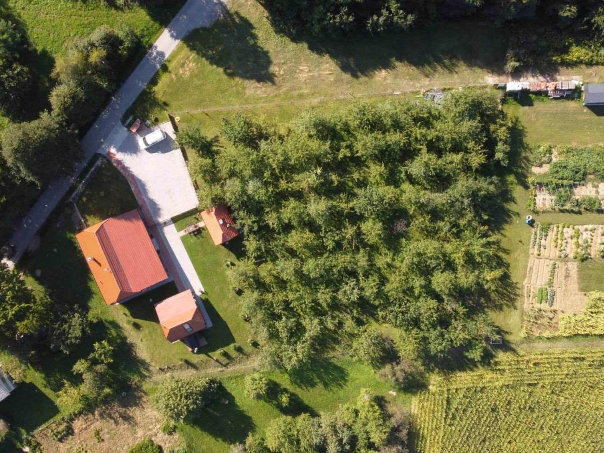 Aerial photography