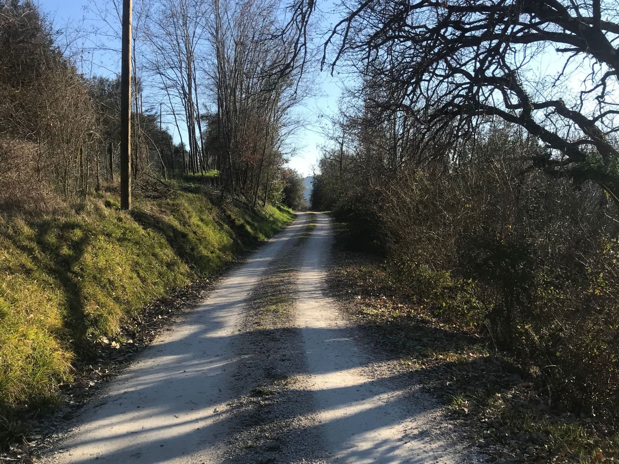 Gallery Image 22