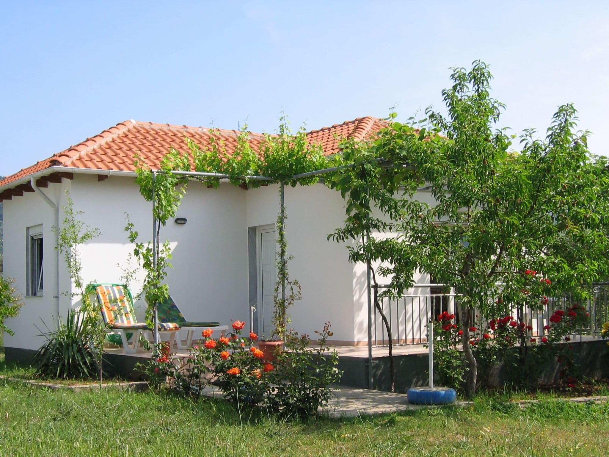 Gallery Image 21