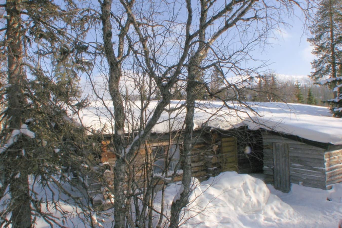 Gallery Image 19
