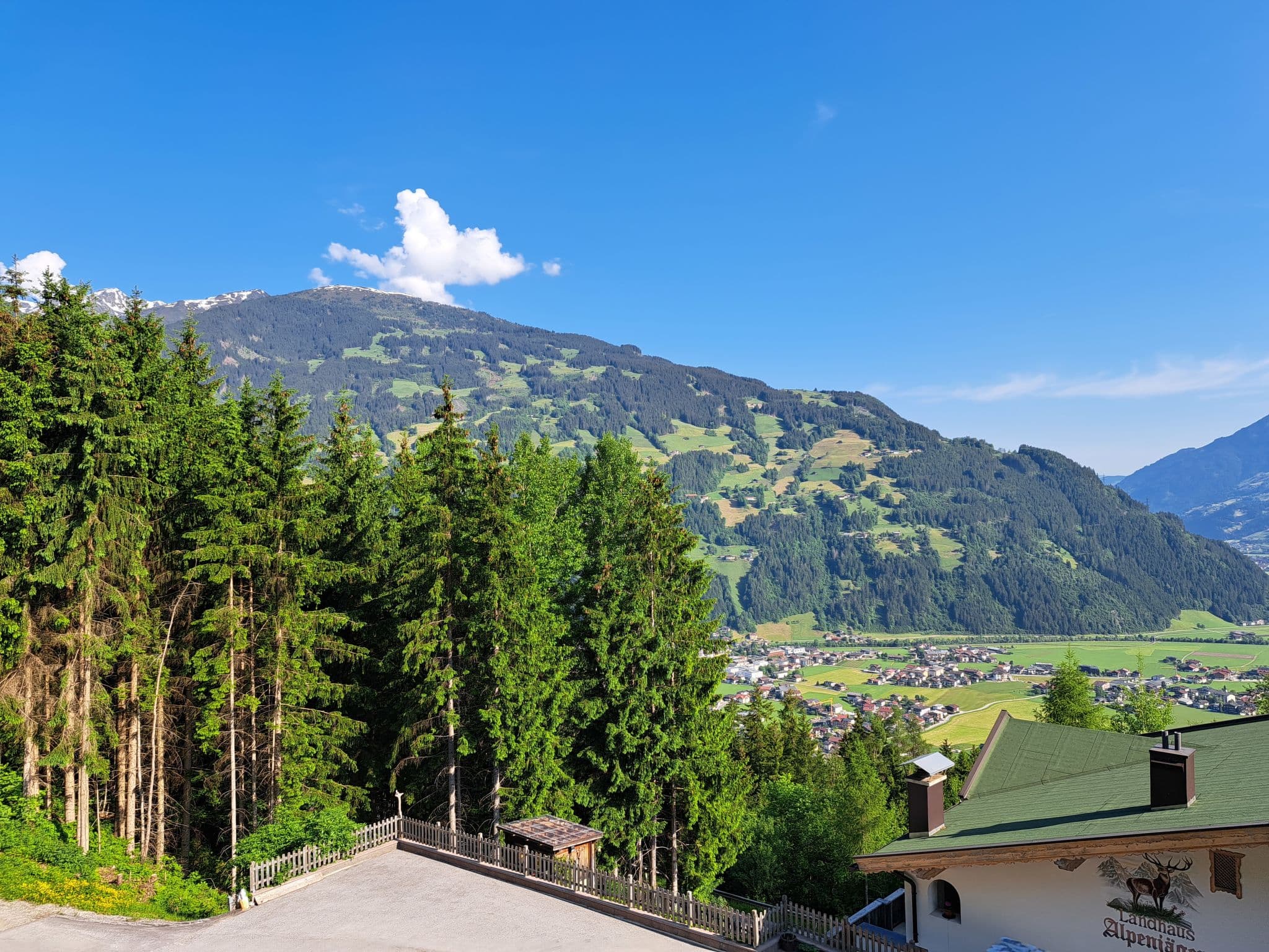 View