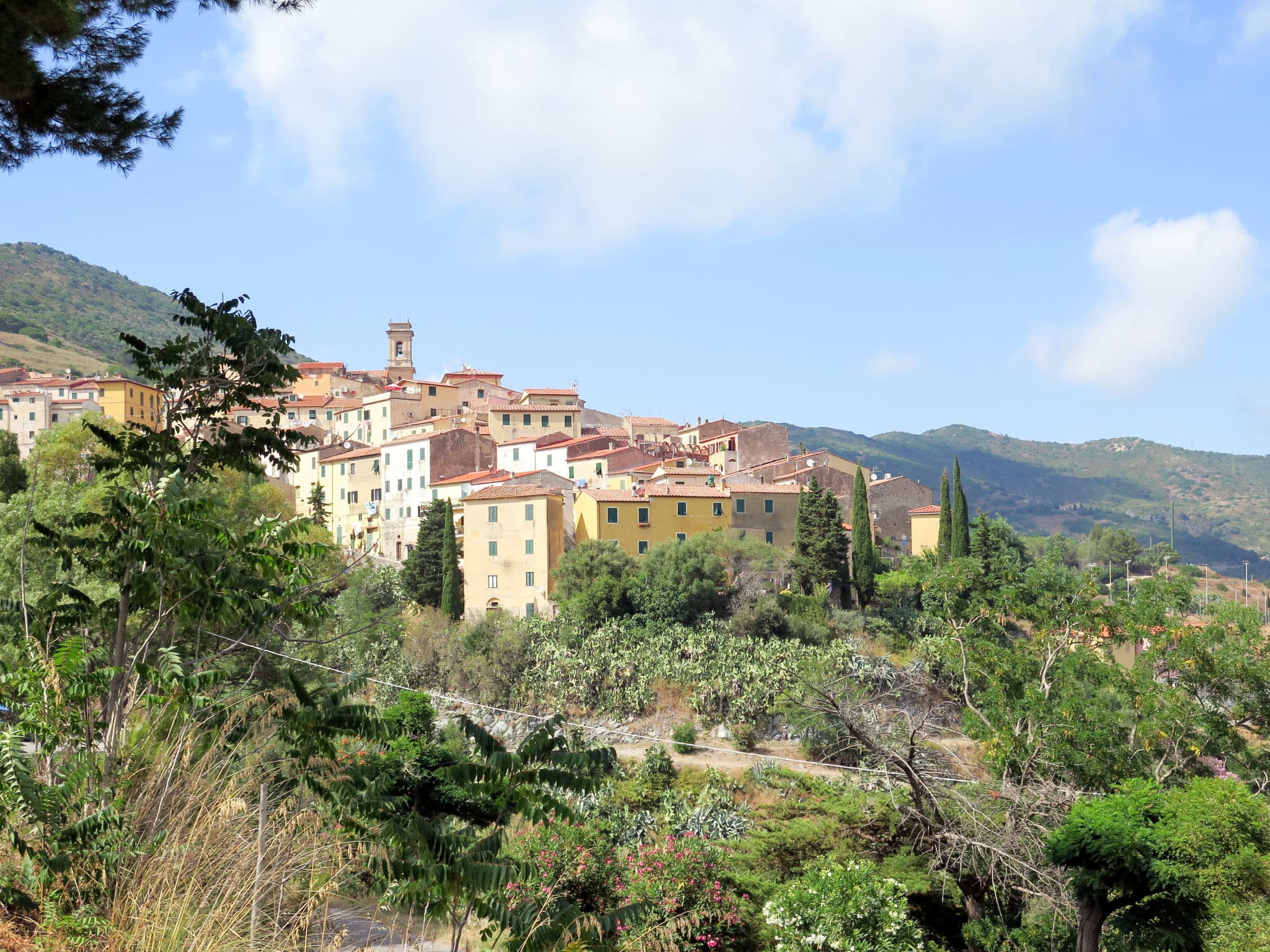 View